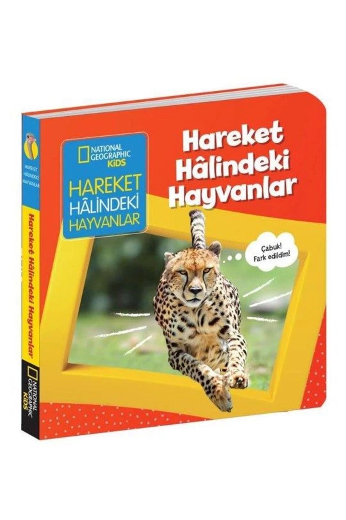 SLNN Hareket Halindeki Hayvanlar