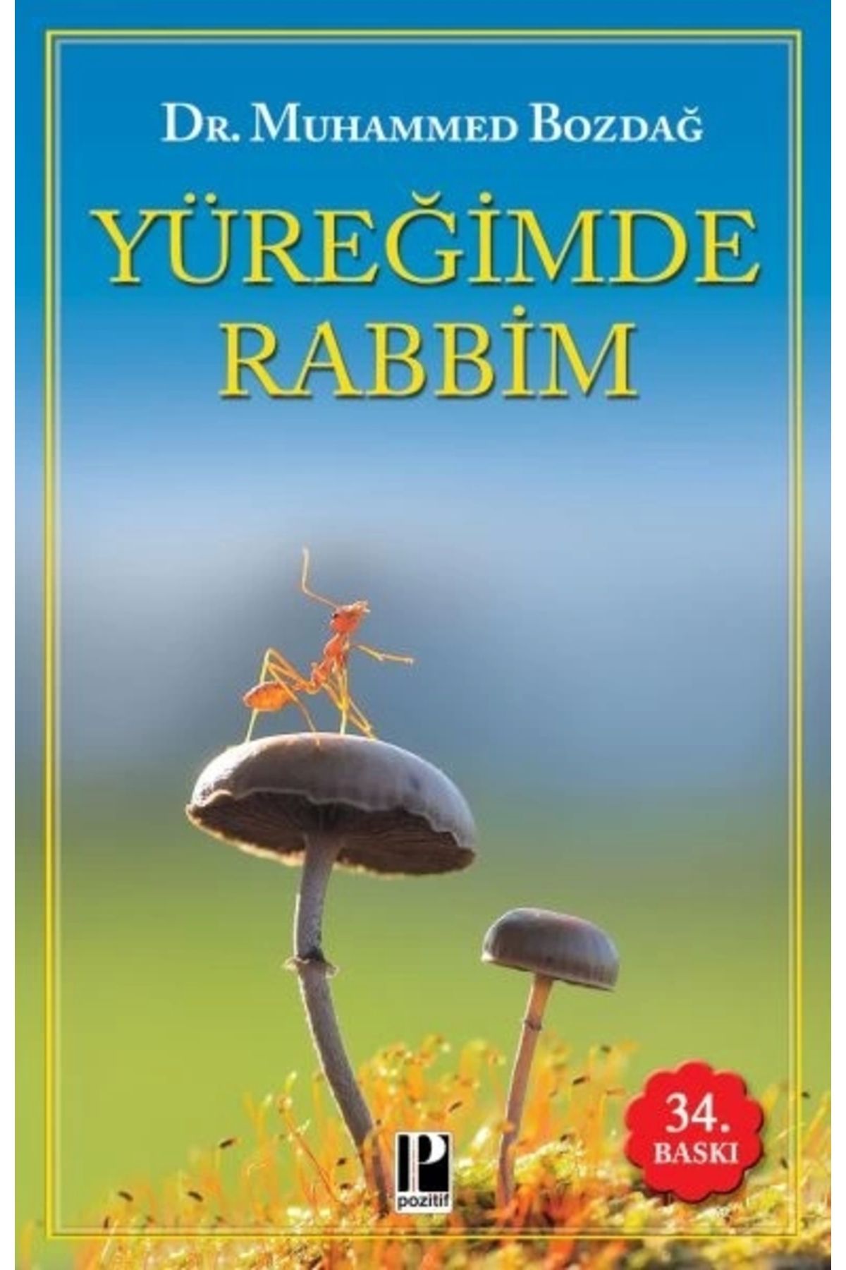 Pozitif Yayınları Yüreğimde Rabbim