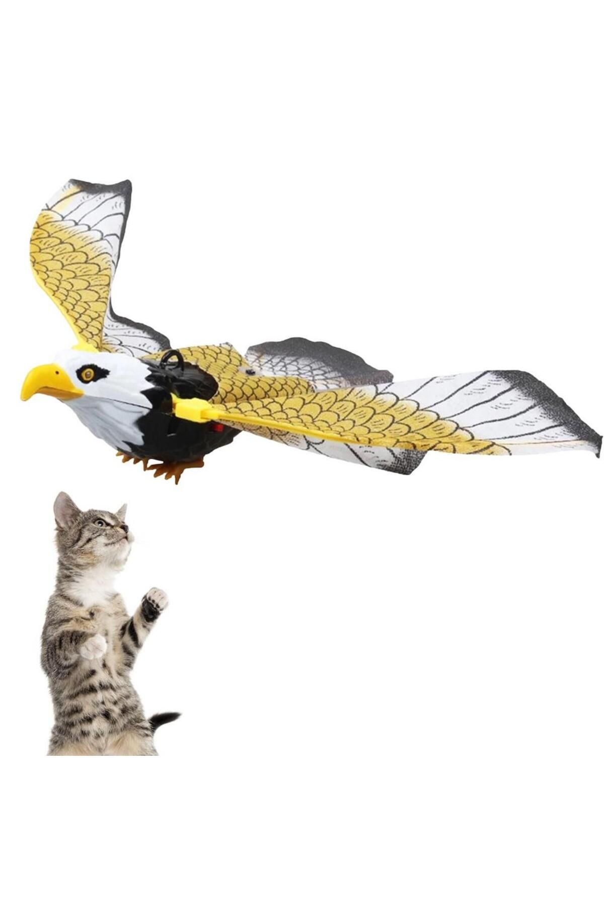 TİNEKE-Ceiling Hanging Cat Toy - Animated Eagle Bird 4