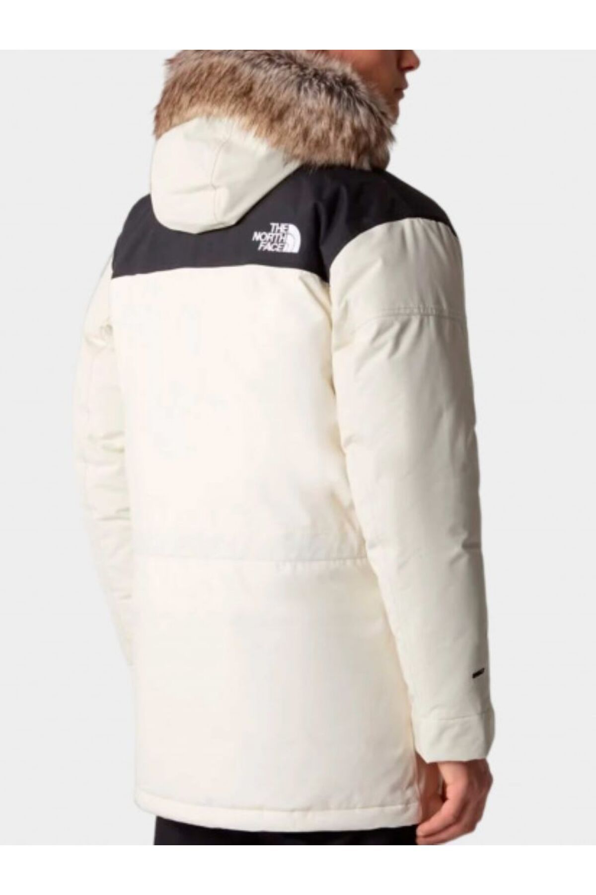 THE NORTH FACE-M Cmurdo 2 - Eu Model 2