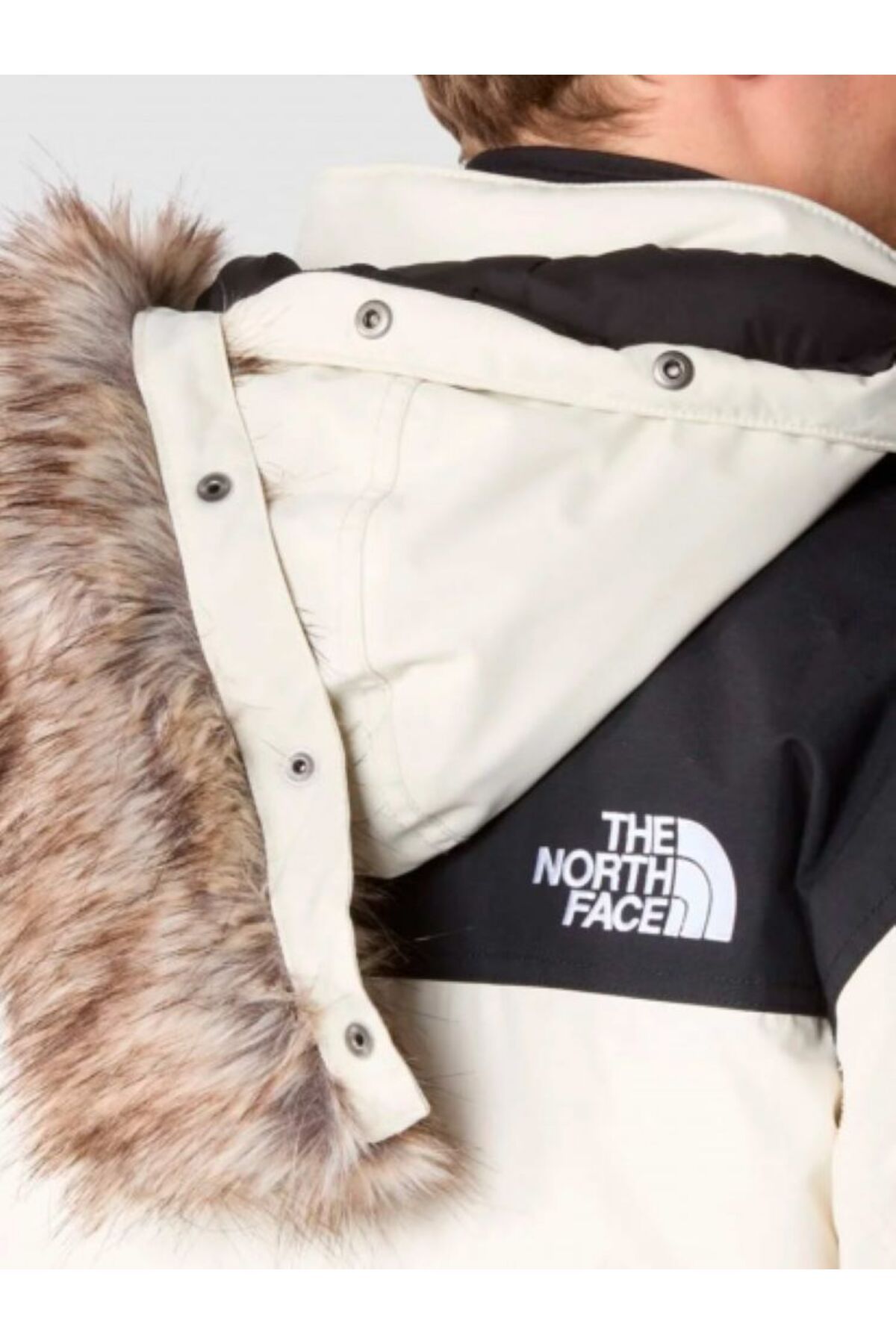 THE NORTH FACE-M Cmurdo 2 - Eu Model 5