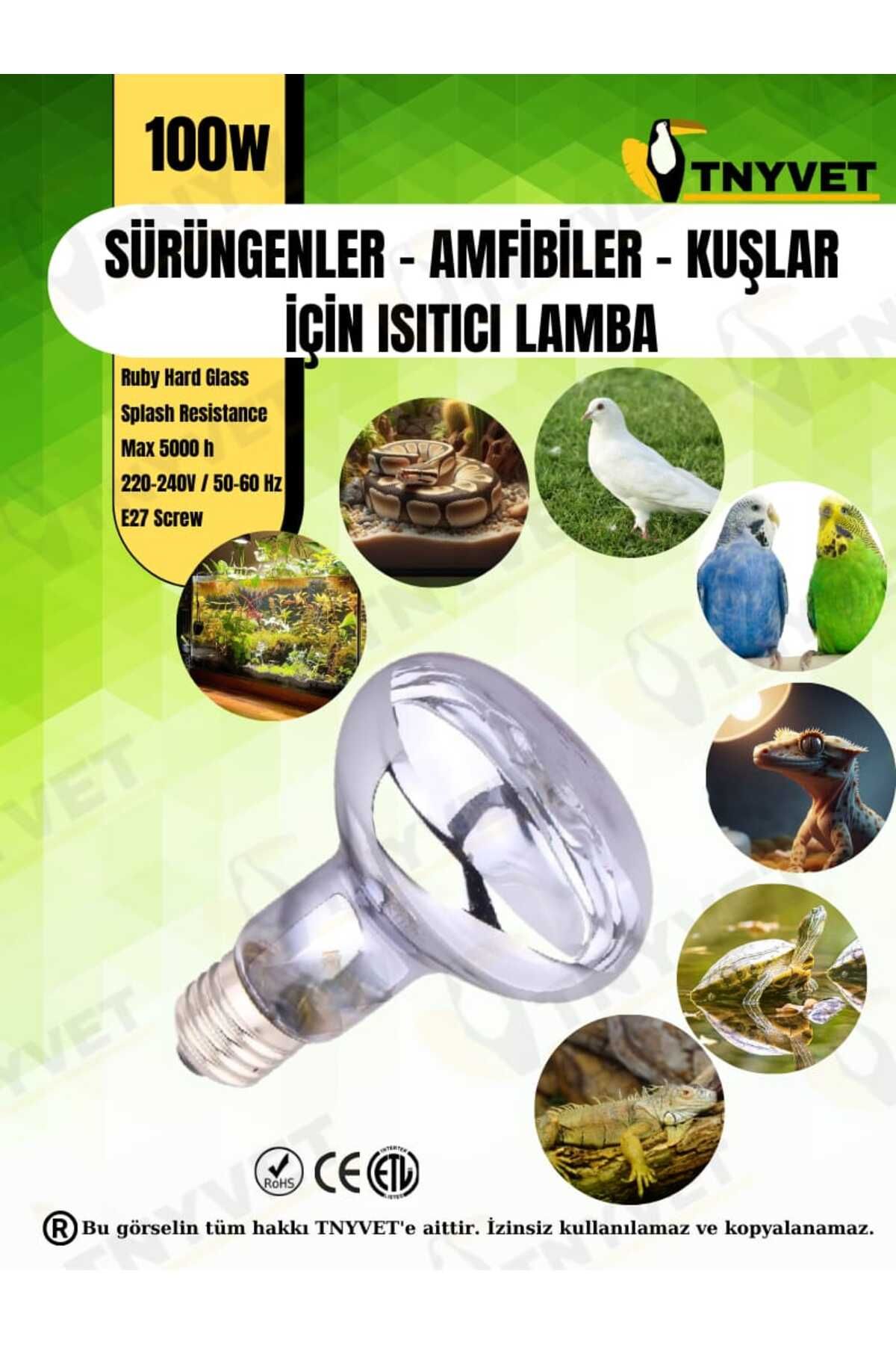 TNYVET 100 Watt Kızılötesi / Gün Işığı Güneş Lambası Isıtıcı Lambalar Sürüngenler, Amfibiler Ve Kuşlar Için