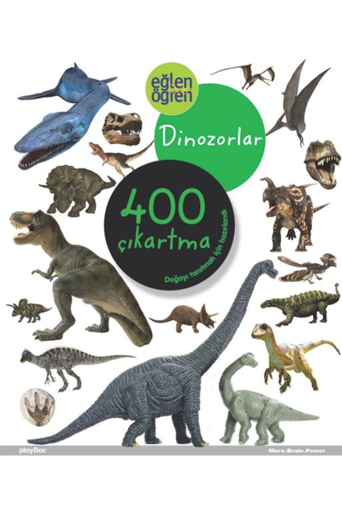 Dstil Tasarım İletişim Yayınları Eğlen Öğren Dinozorlar 400 Çıkartma