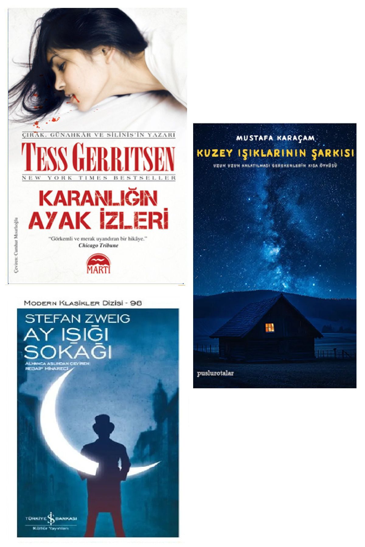 TÜRKİYE İŞ BANKASI KÜLTÜR YAYINLARI Karanlığın Ayak İzleri - Tess Gerritsen + Ay Işığı + Kuzey Işıklarının Şarkısı (Koleksiyon Kitap)