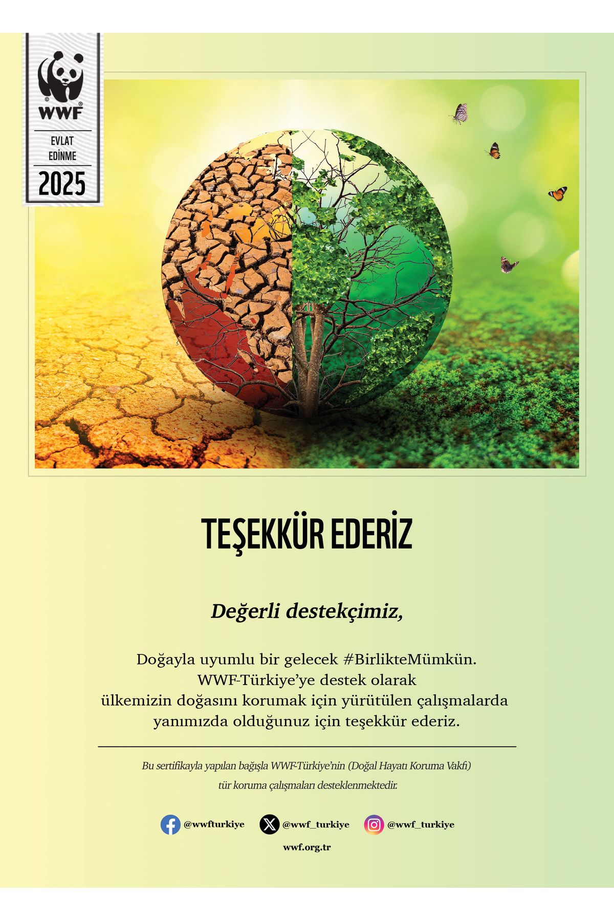 WWF-Türkiye Dünya Çevre Günü Sertifikası-2