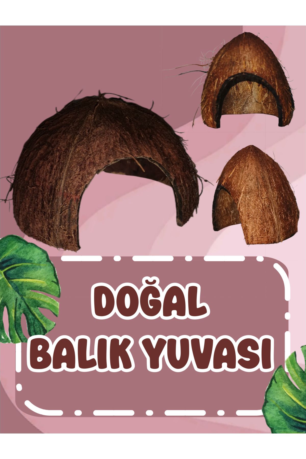 Meeori Doğal Balık Yuvası / Testi ve ( Renkli - Kum ) Gizleme Mağarası / Kalsiyum ve pH Dengesini Artırır