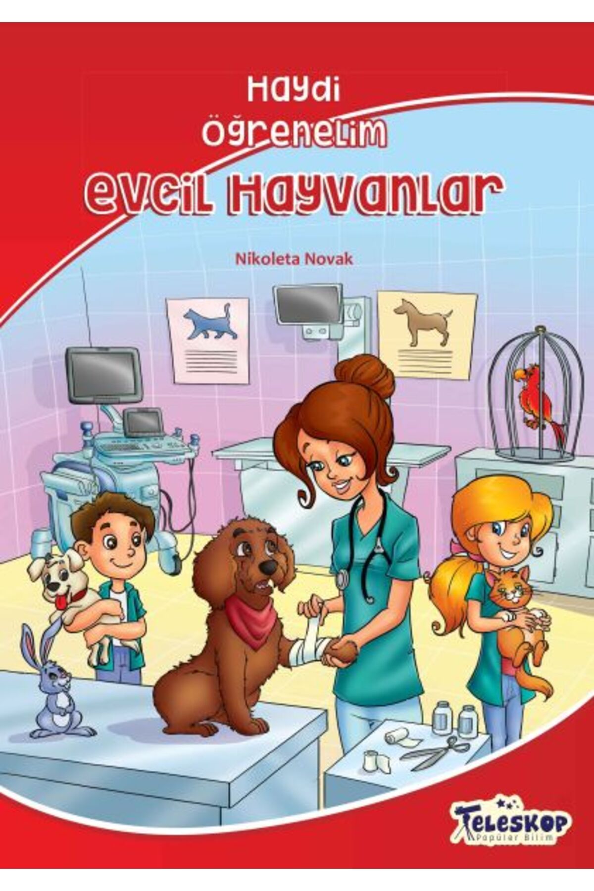 Türk Dil Kurumu Yayınları Evcil Hayvanlar - Haydi Öğrenelim