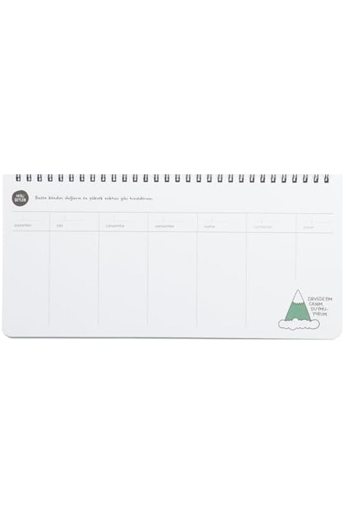 STOREMAX EMLshop Duymuyorum, Yeşil Zirvedeyim Canım Planner - Stickerlı Haftalık 13x27 Spiralli, Hisli Ş