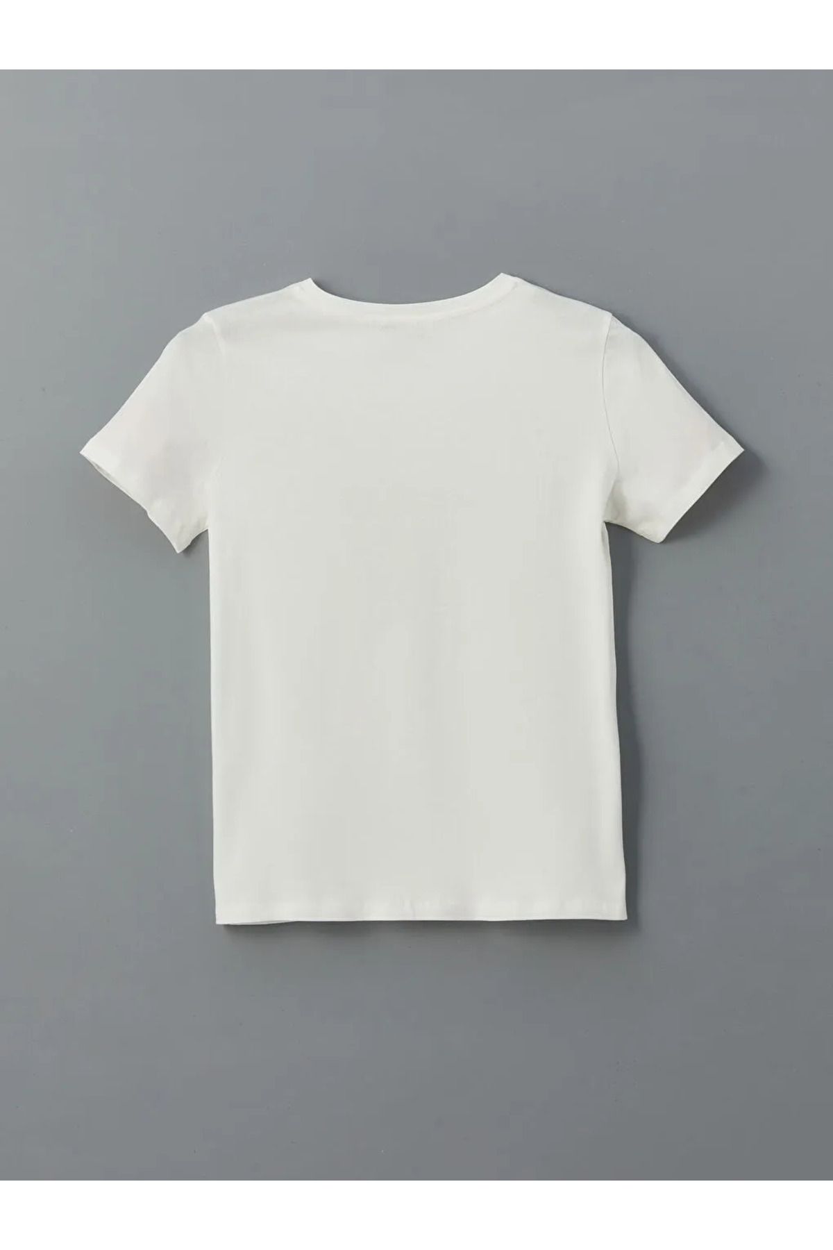 LC Waikiki-Dámské tričko LCWAIKIKI Classic Ecru Crew Neck Stuha s výšivkou 2