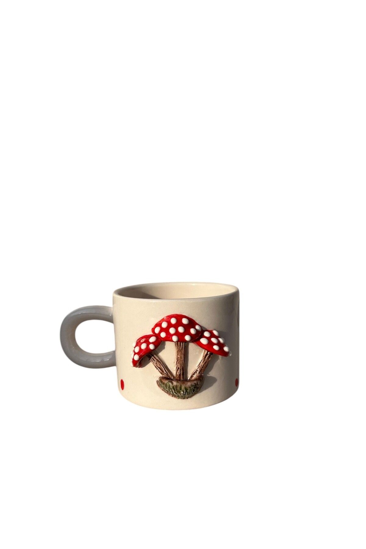 Lifestyle EL YAPIMI ÜÇ BOYUTLU MANTARLI 2.TASARIM  MUG 200 ML