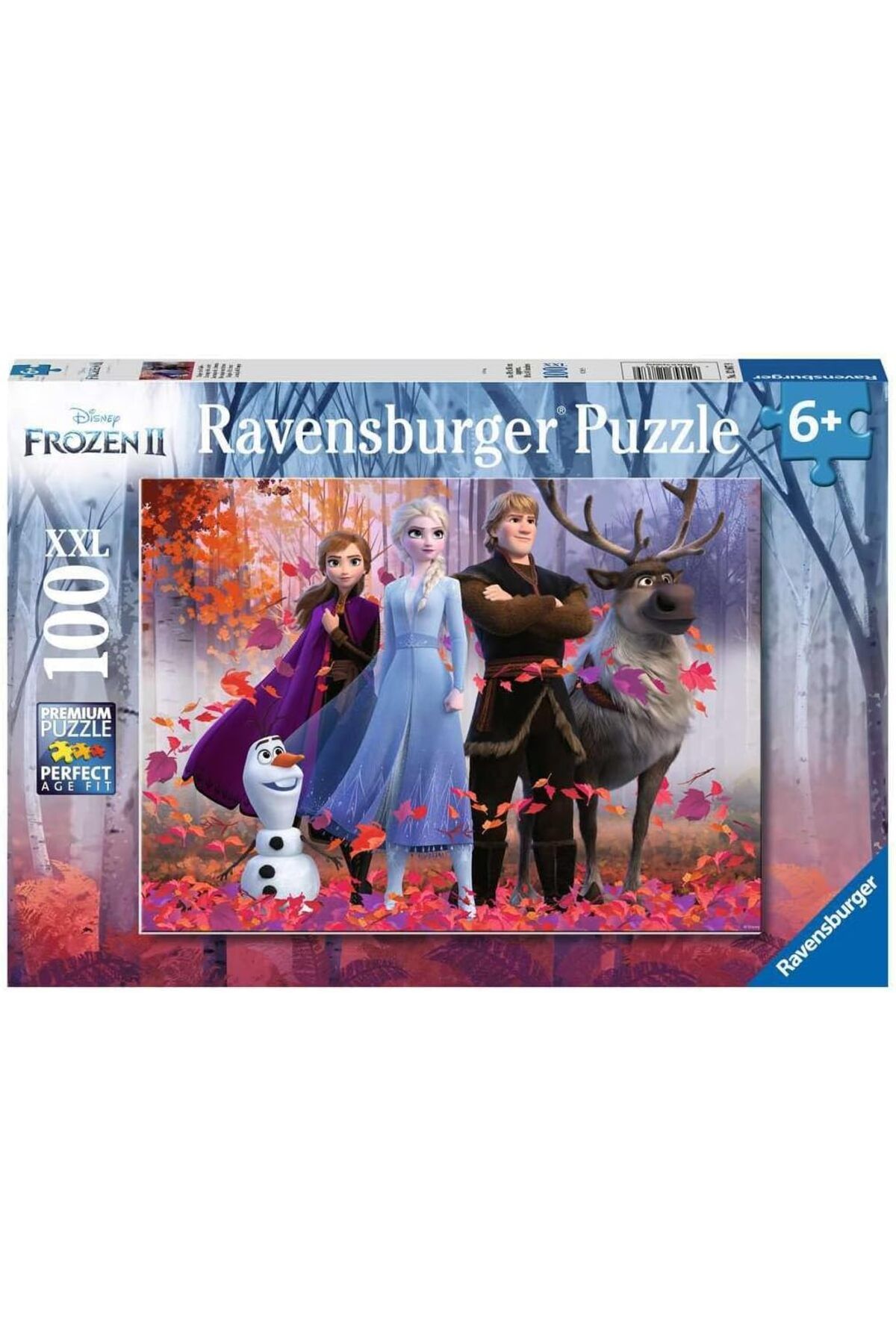 NcK 128679 Puzzle, Wd Frozen 2, 100 Parça