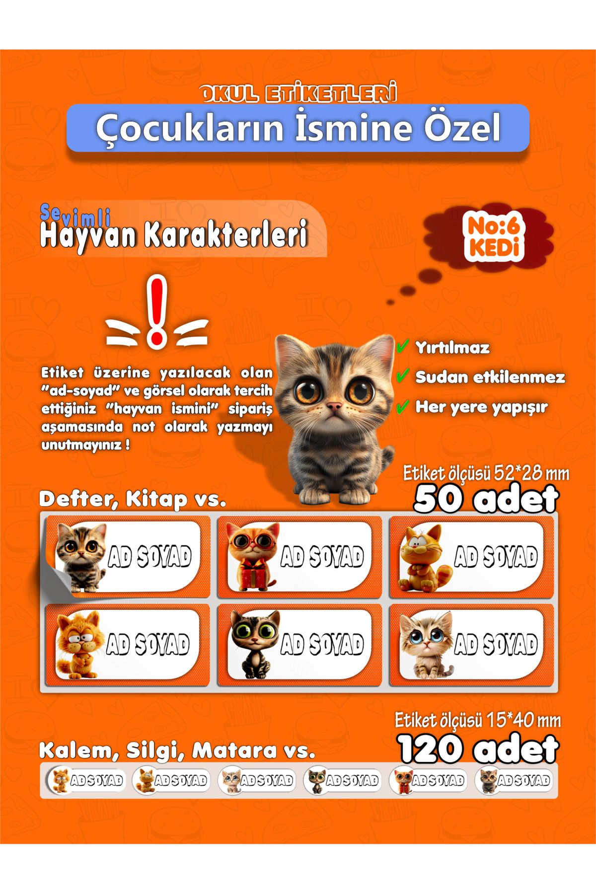 AGG Reklam İsme Özel Okul Etiket Seti (Sticker) No:2 Kedi Toplam 170 Adet