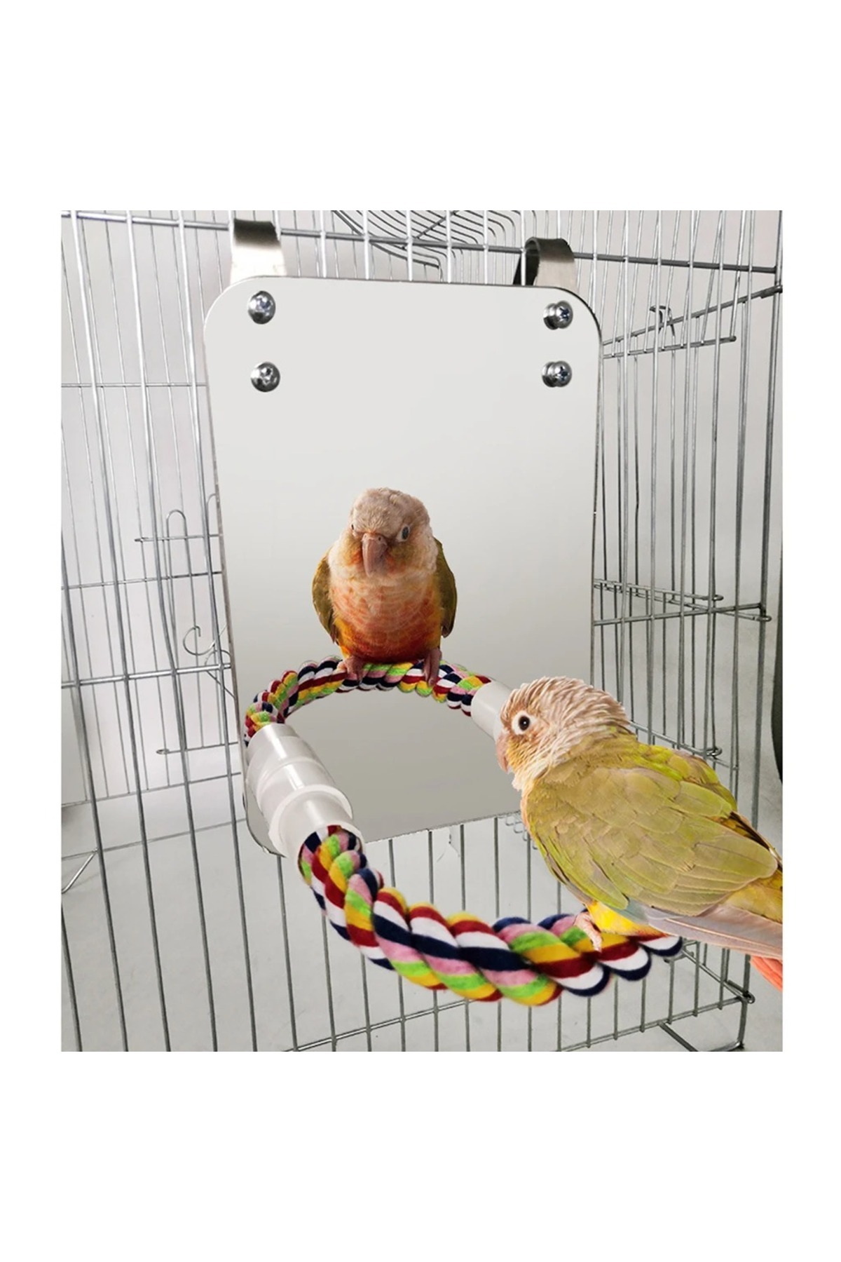 Choice Bird Mirror With Perch Cage Swing Toy Macaws Finches Small ...