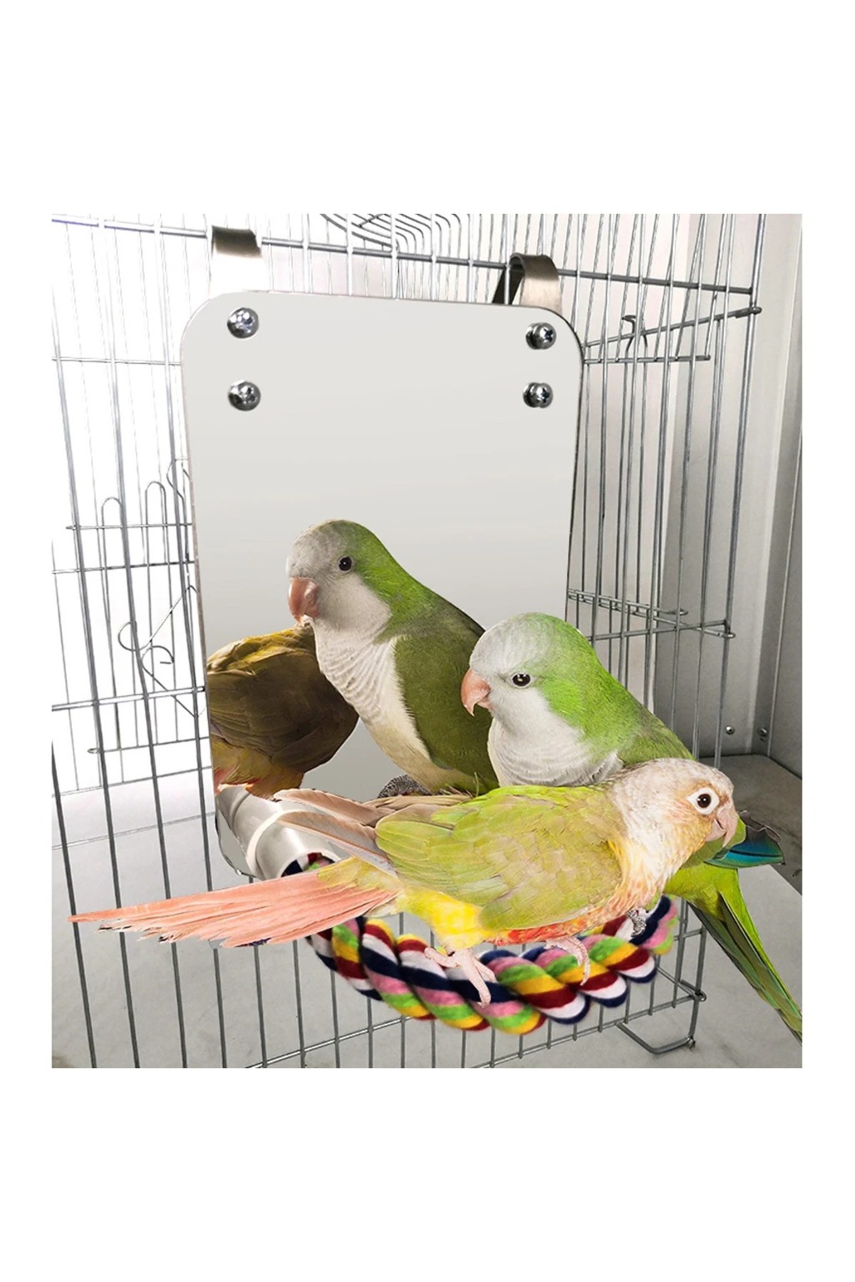 Choice Bird Mirror With Perch Cage Swing Toy Macaws Finches Small ...