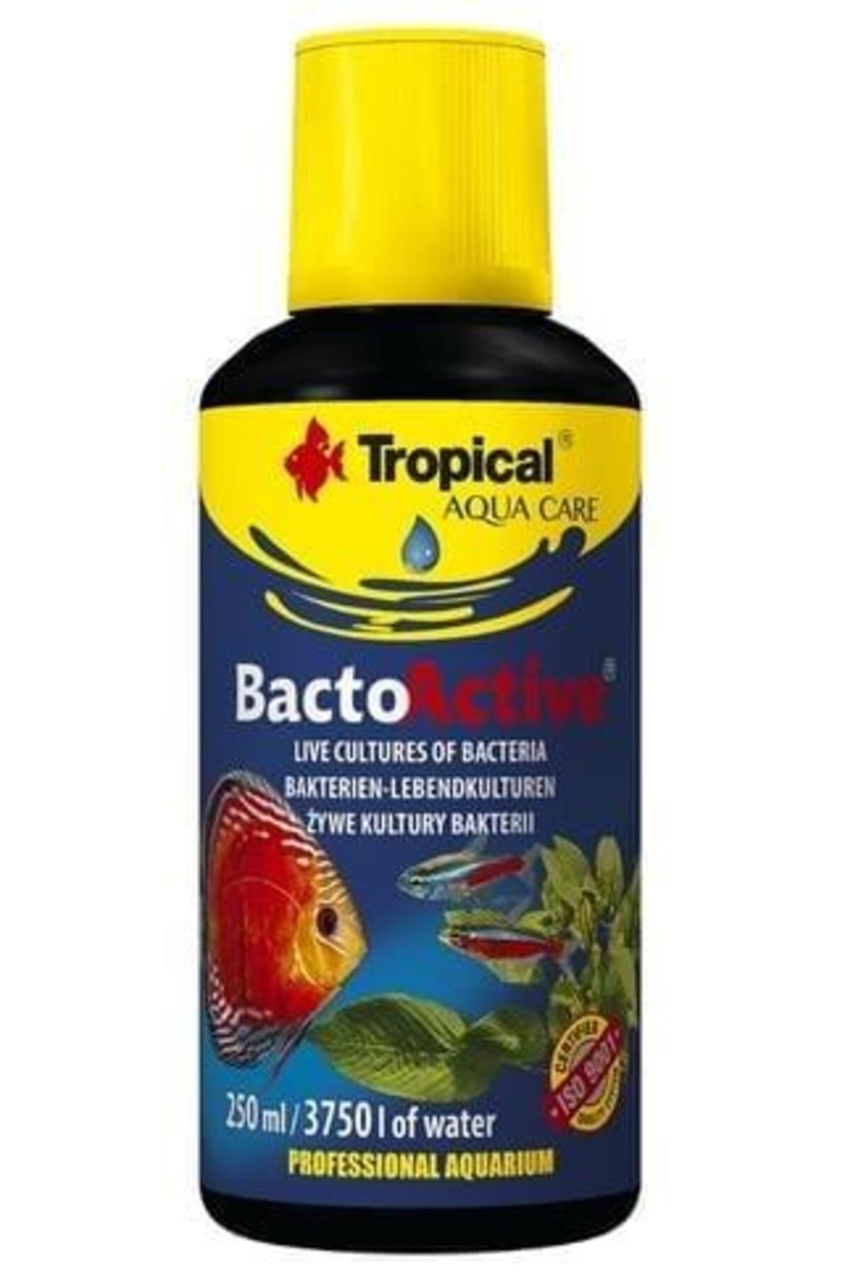 Tropical Bacto Active 250ML (Bakteri Kültürü)