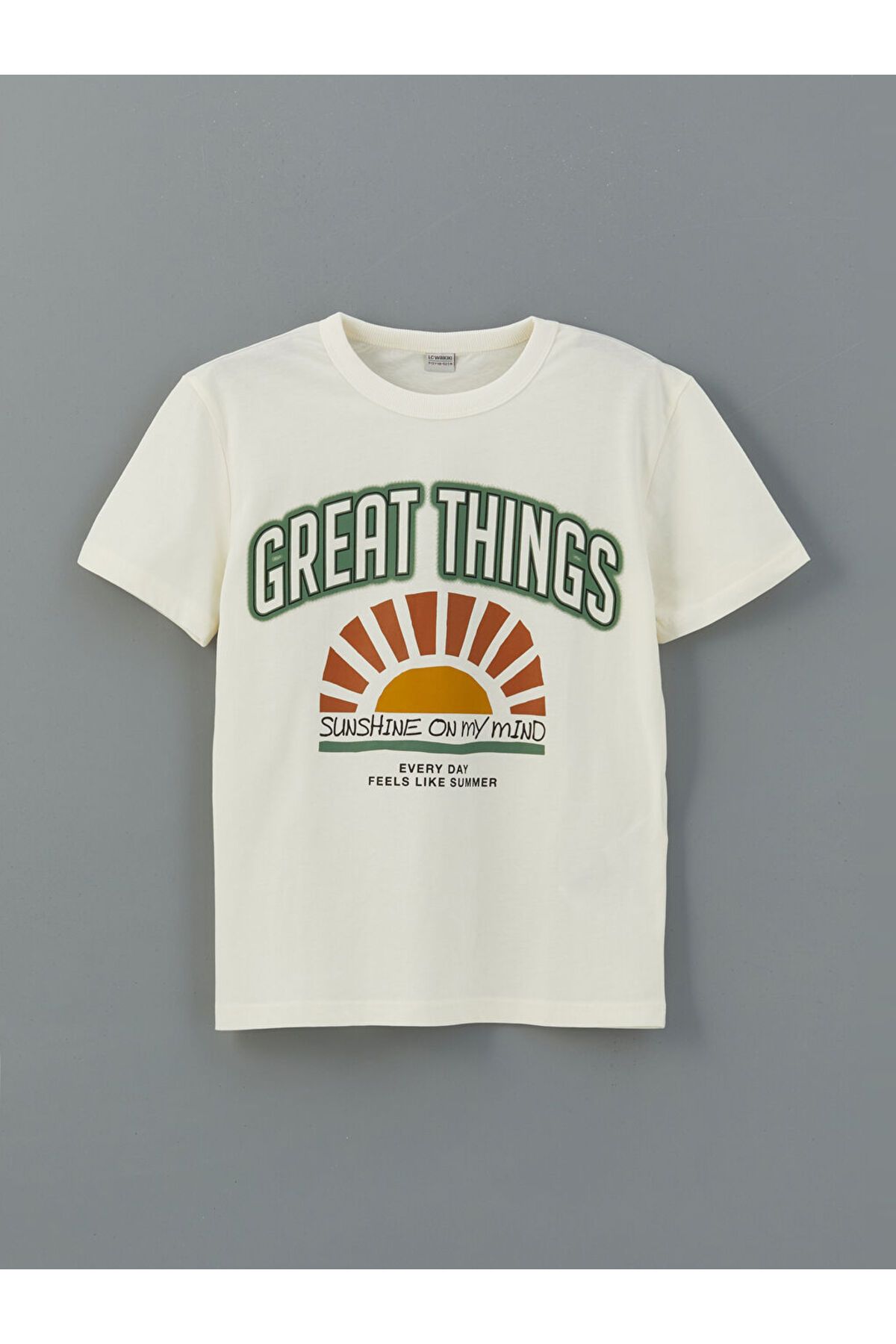 LC Waikiki-Create Your Style from Uzg Store |   Ecru Crew Neck Boys T-Shirt and Shorts 2