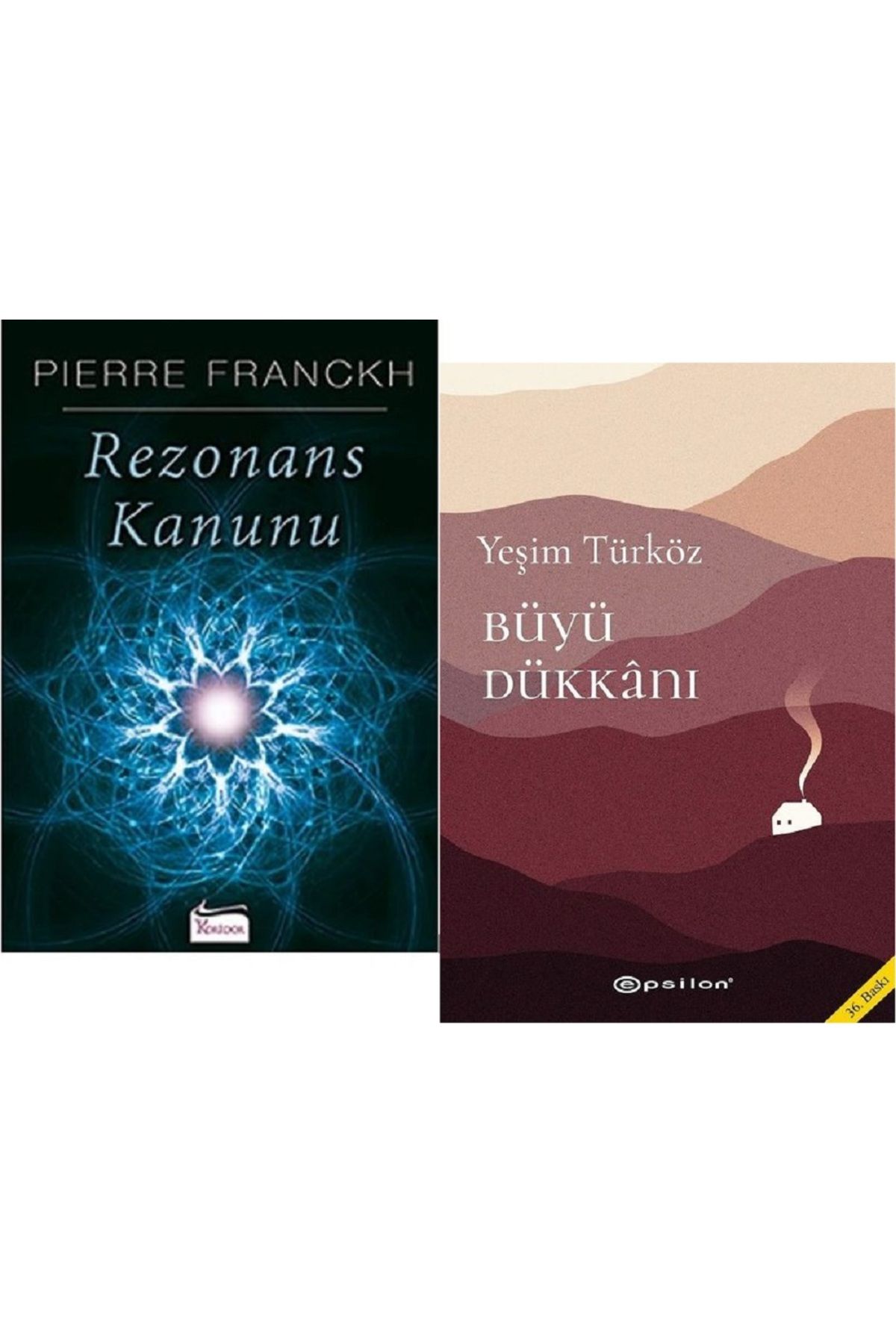 Epsilon Yayınevi Rezonans Kanunu + Büyü Dükkanı / 2 Kitap Set