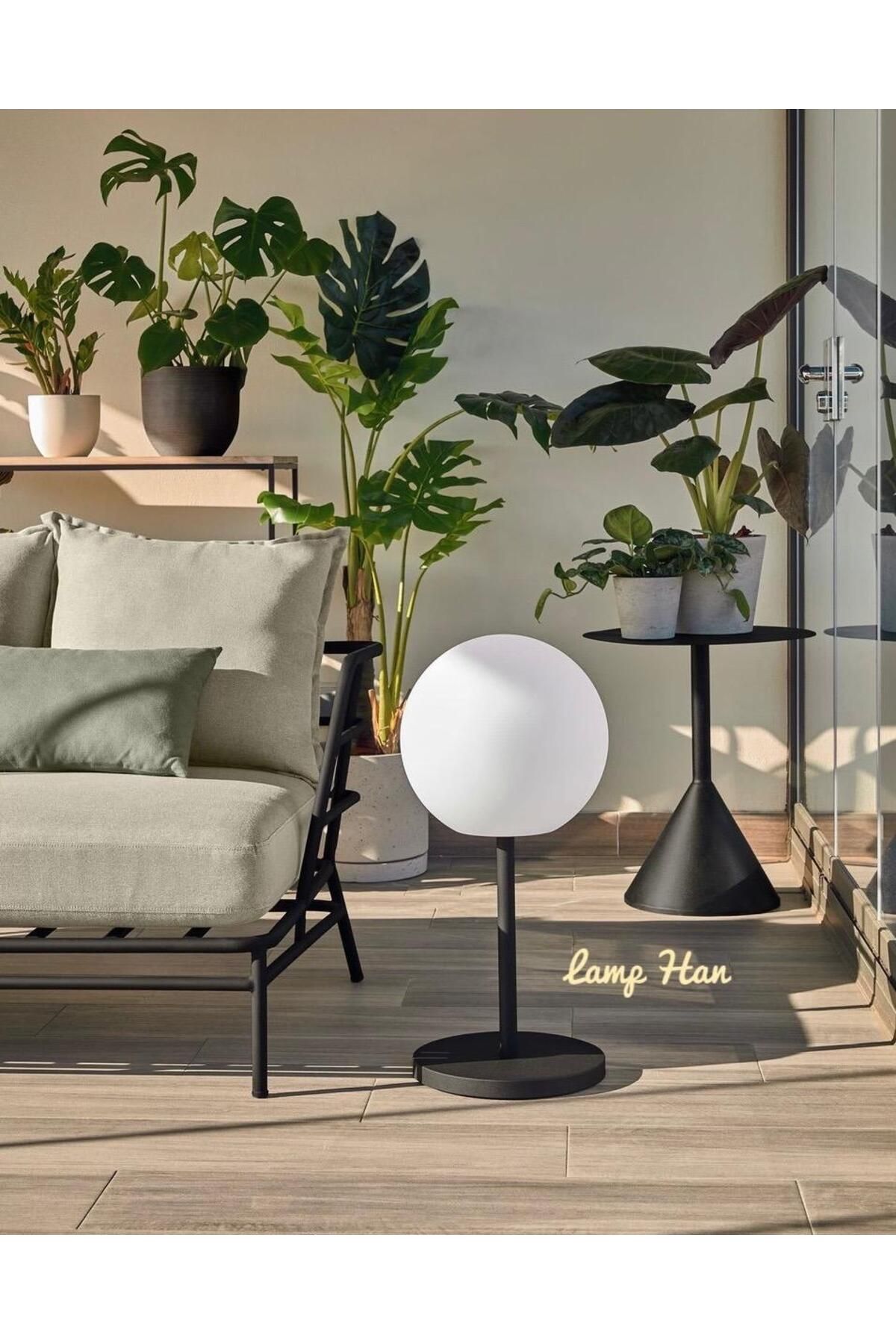 Lamp Han Papatya Serisi Modern Cam Başlıklı Dekoratif Masa Lambası