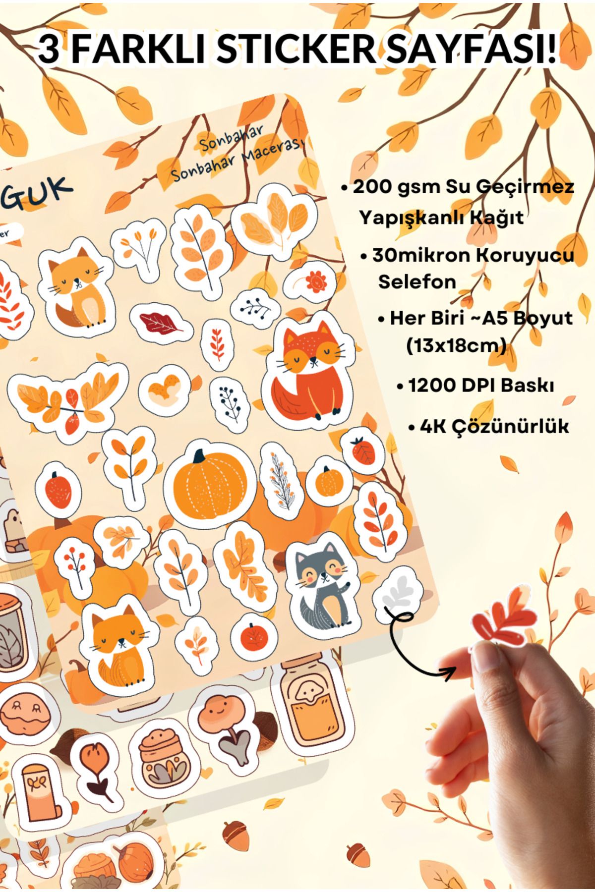 GUGUK Güz Yapraklarının Şarkısı Sticker Yaprakları Seti