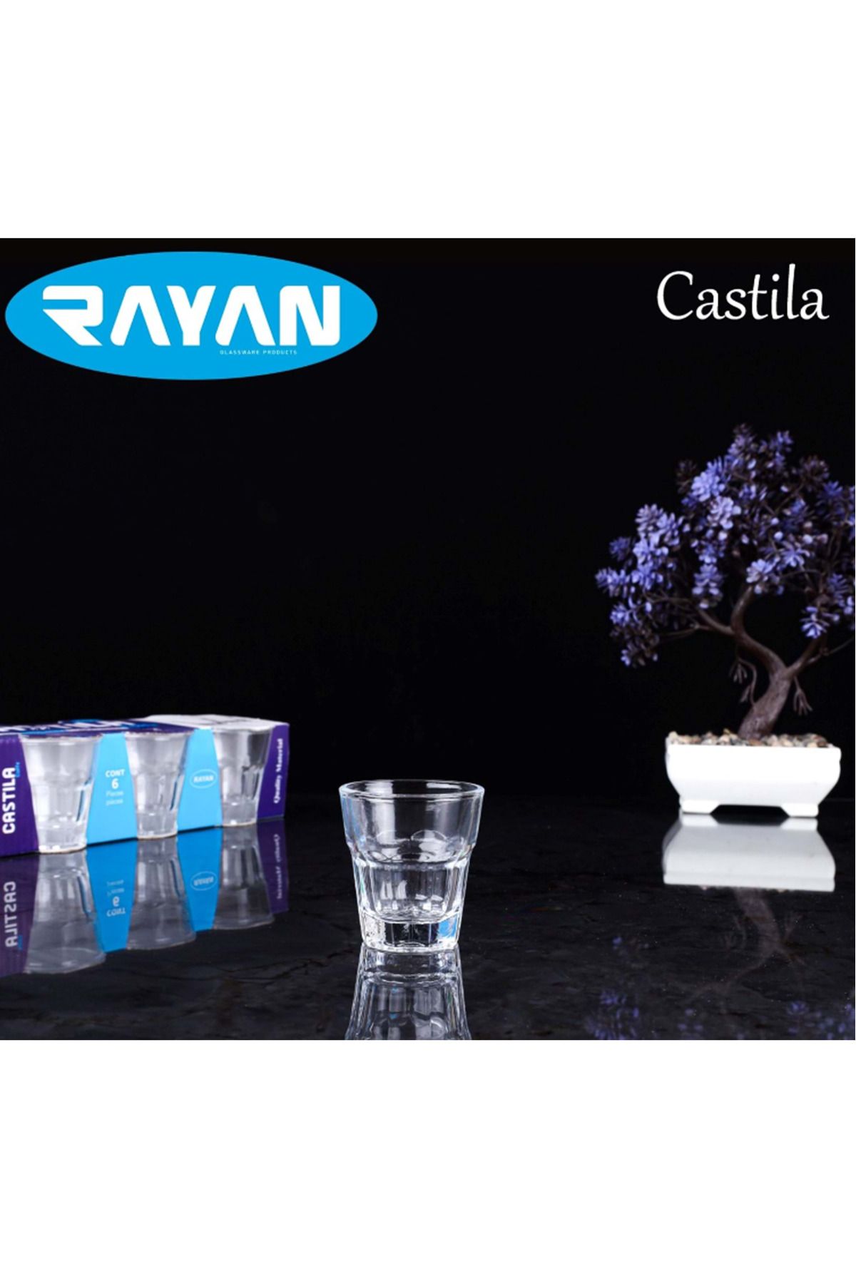 MELFSHOP Kahve Yanı Castila Bardak Royaleks-81274