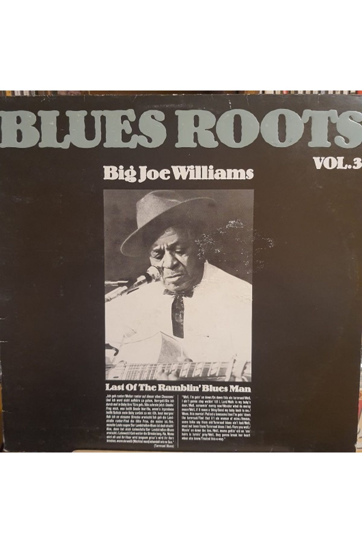 ALP PLAK Big Joe Williams – Last Of The Ramblin Blues Man - Plak LP