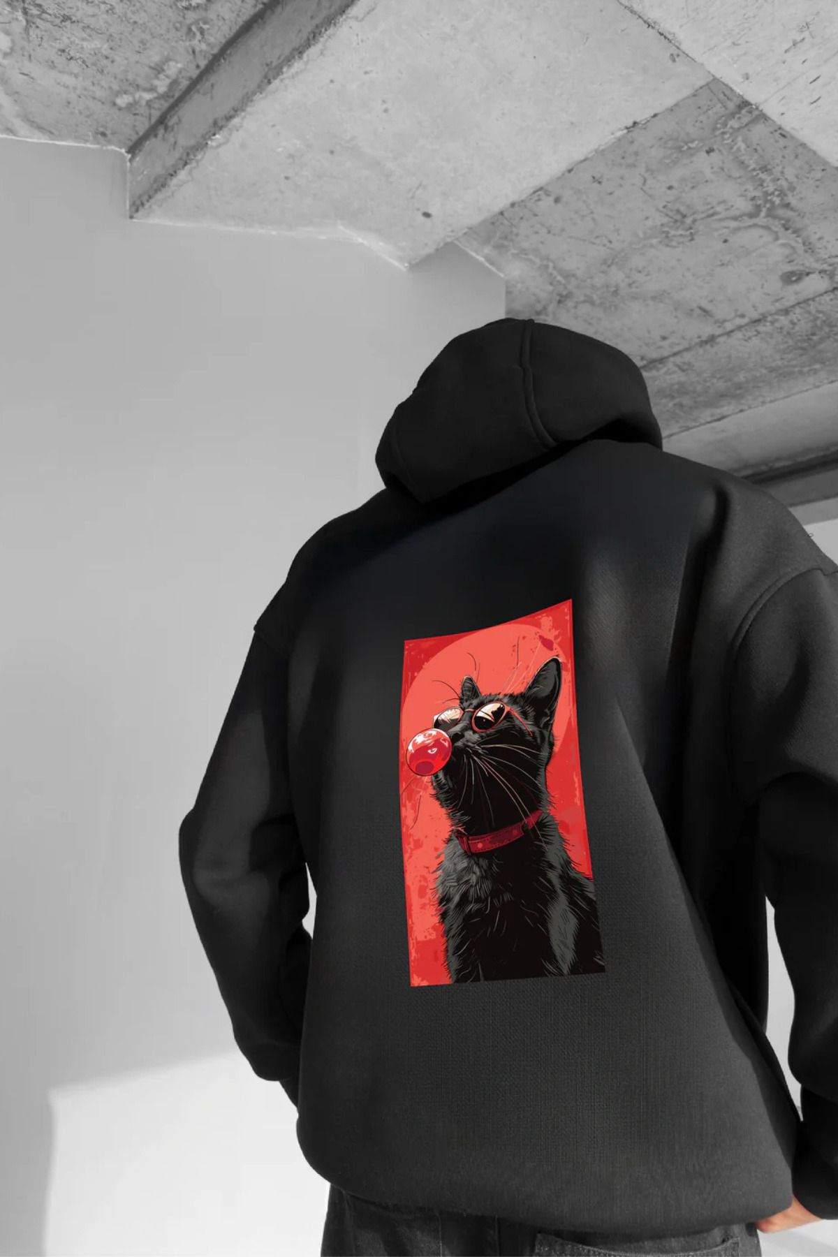 Wish BF Havalı Kedi Baskılı Kapüşonlu Sweatshirt Hoodie