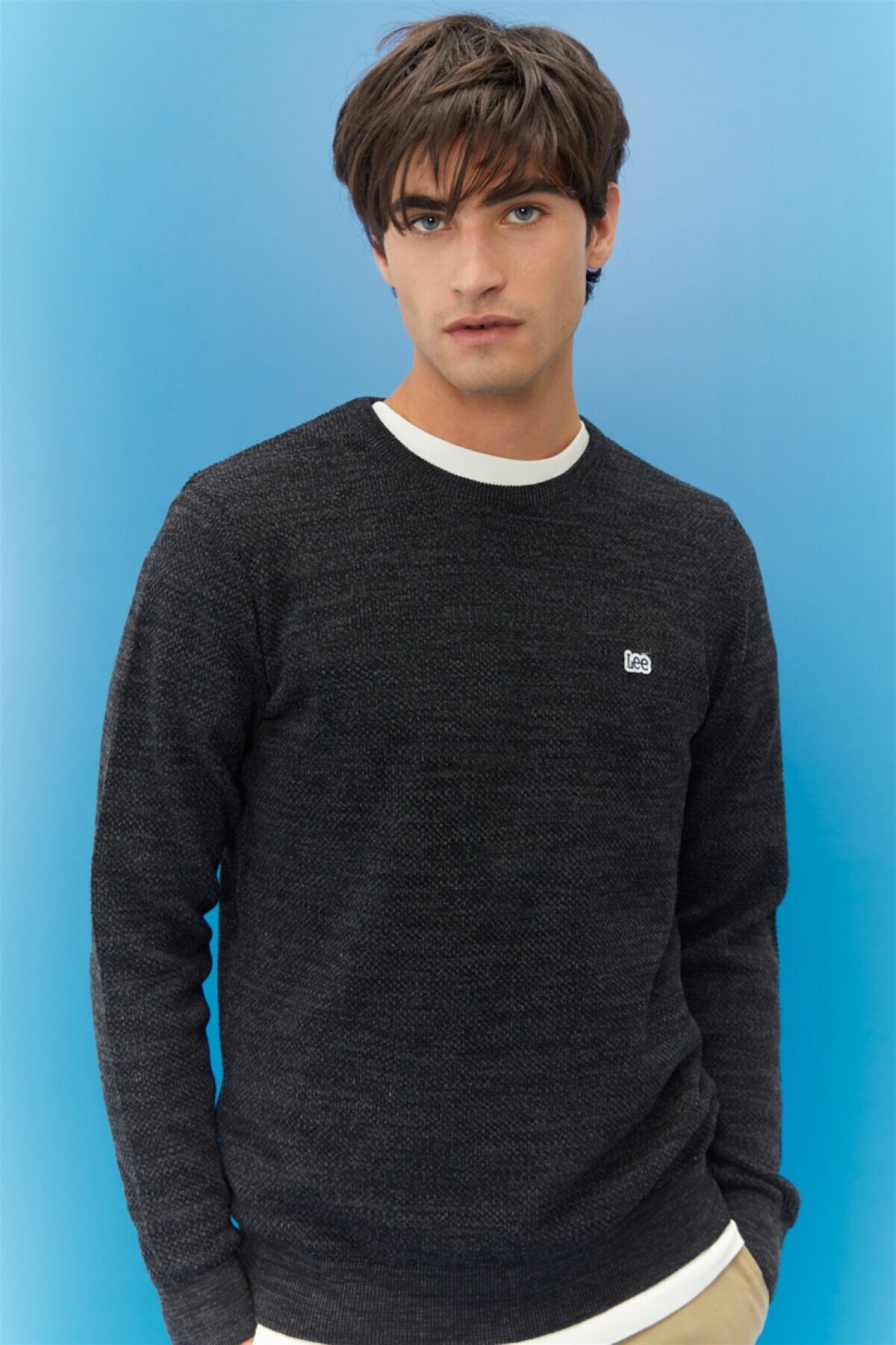 Lee Regular Fit Normal Kesim Sıfır Yaka Triko görsel 5