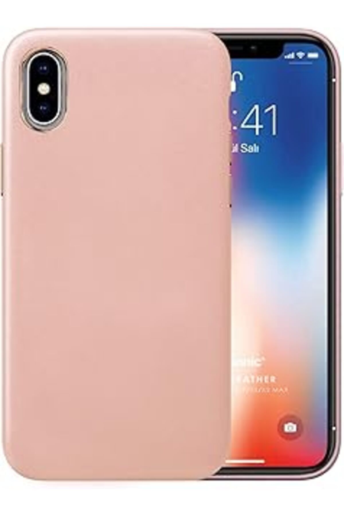 EDALKILIÇ Iphone Xs Kılıf Luxury Leather Rose