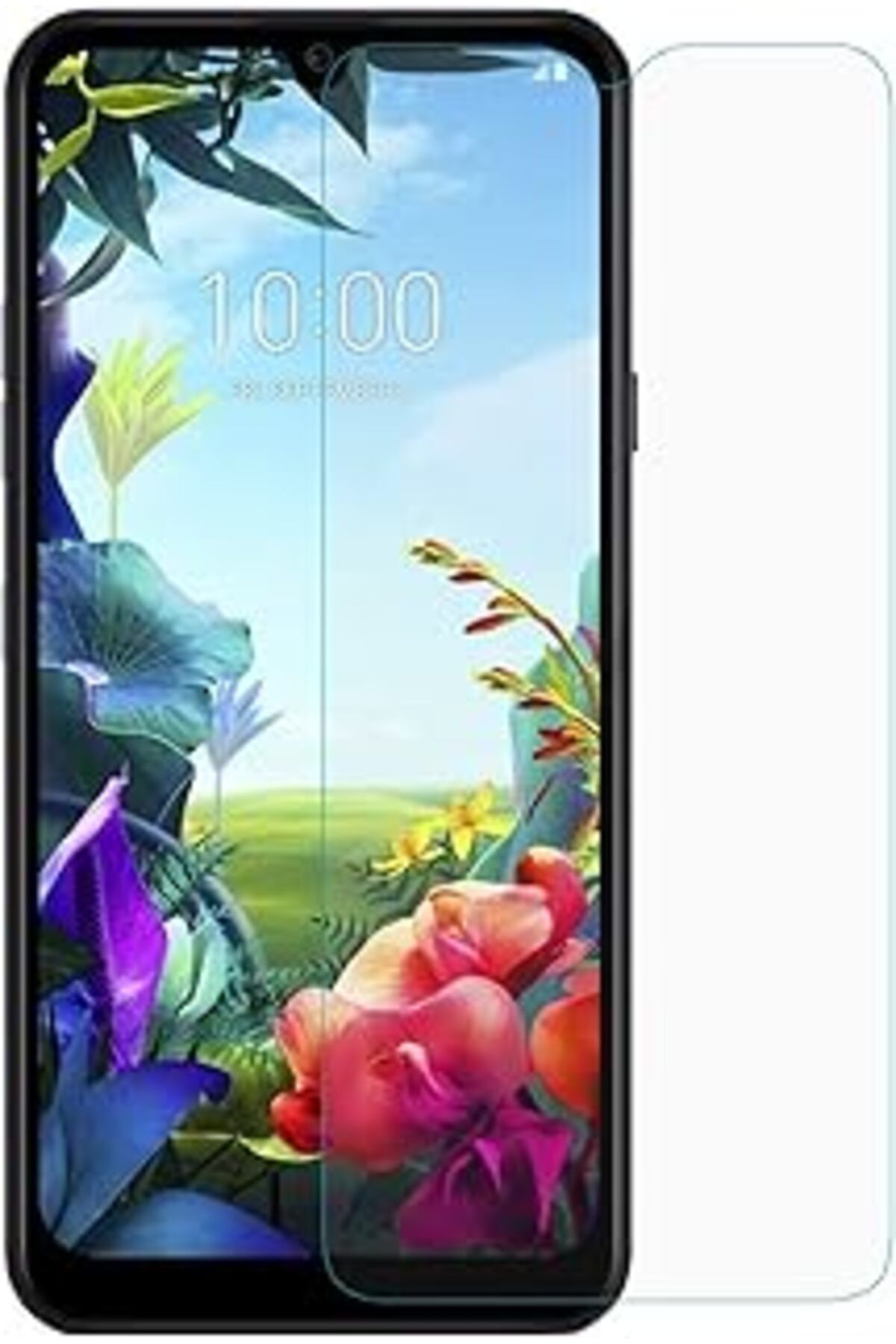 nerede bulurum Kny Mi Redmi Note 8 İÇin Kılıf, Silikon Kenarlı Şeffaf Tiron Kapak, Yeşil