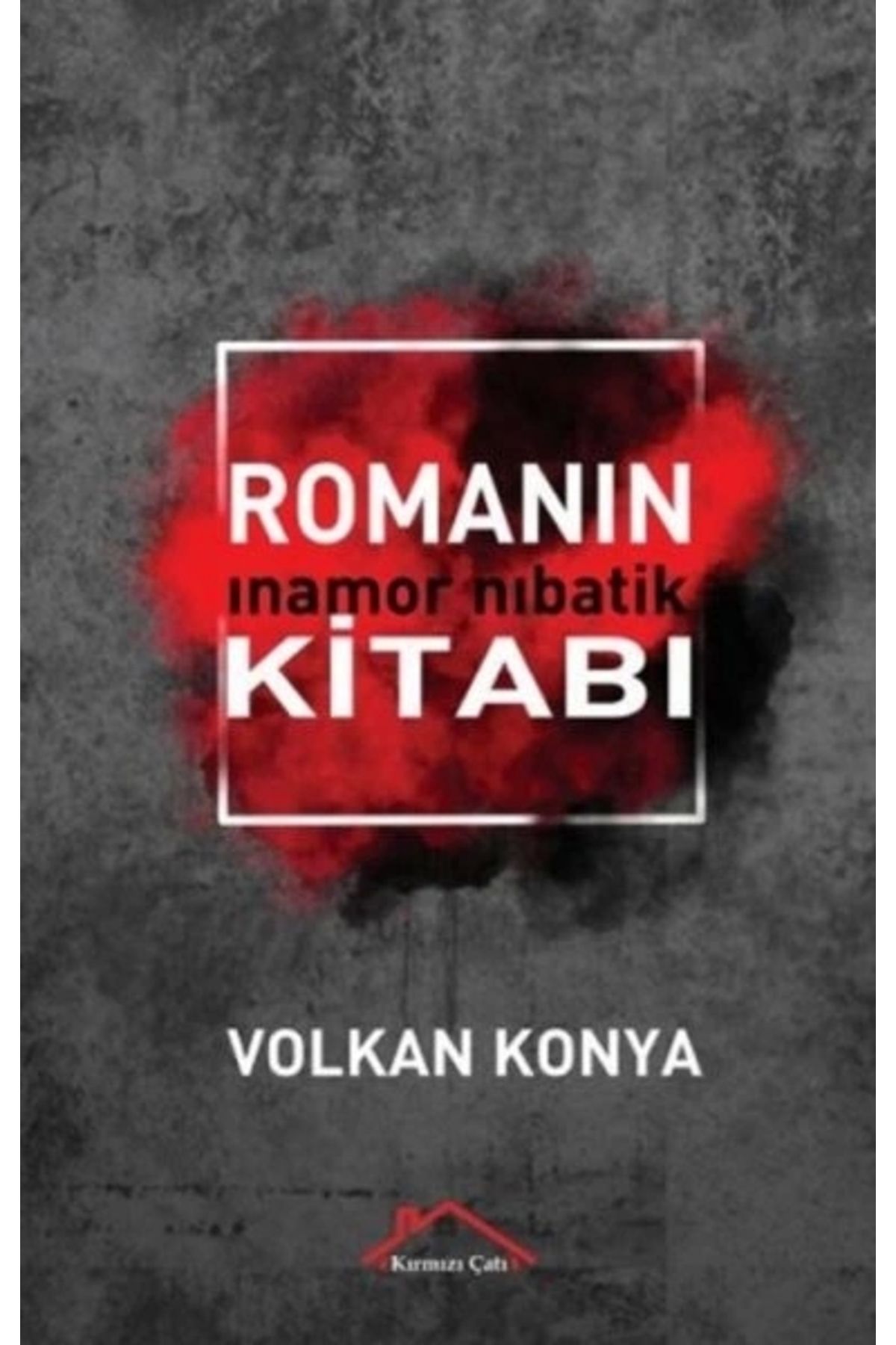 Kırmızı Çatı Yayınları Kitabın Romanı