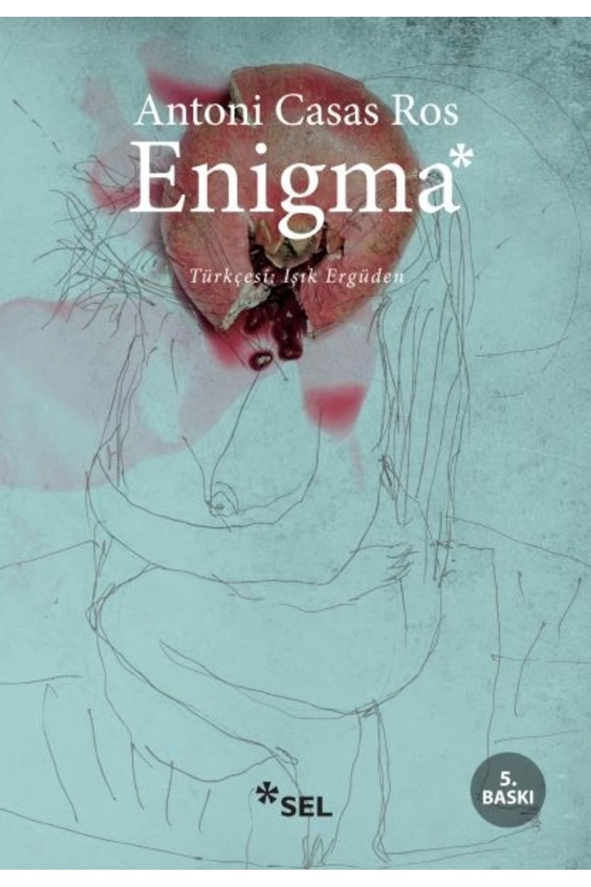 Sel Yayınları Enigma