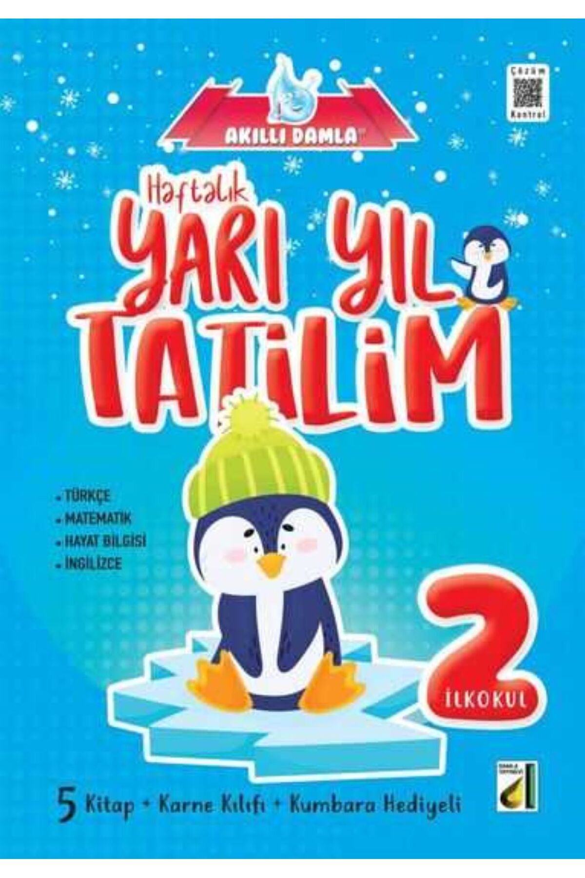 Damla Yayınevi DAMLA 2.Sınıf Yarıyıl Tatil Kitabı - Haftalık Kış Tatili Kitabı (degerkitap)