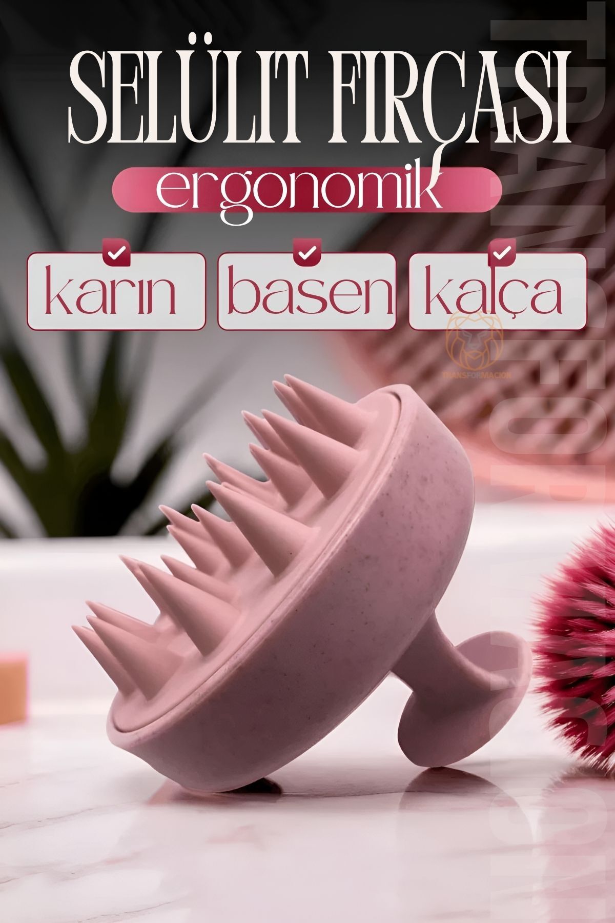 Transformacion Selülit Fırçası Ergonomik Tasarım 721214