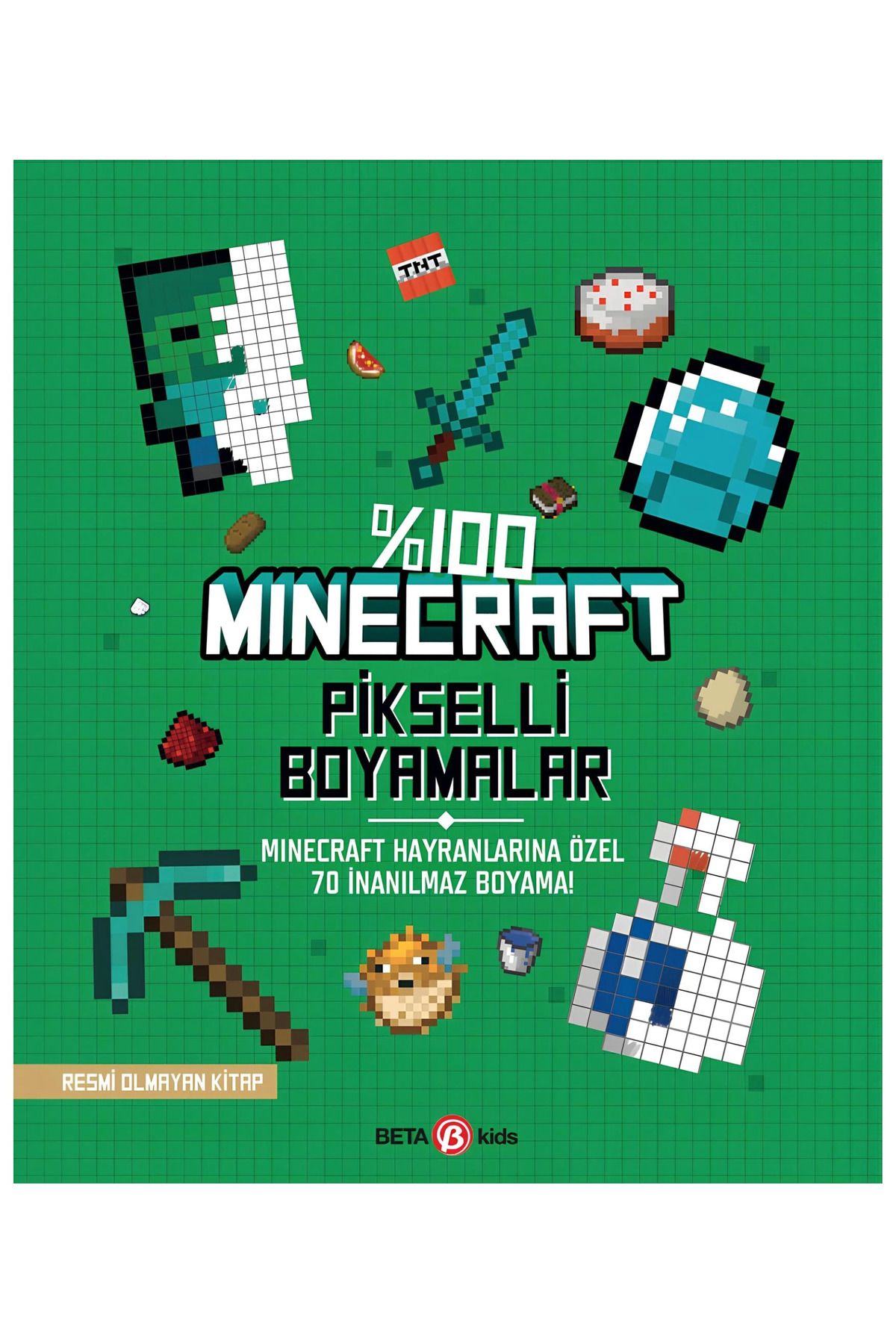 SLNN %100 Minecraft Pikselli Boyamalar