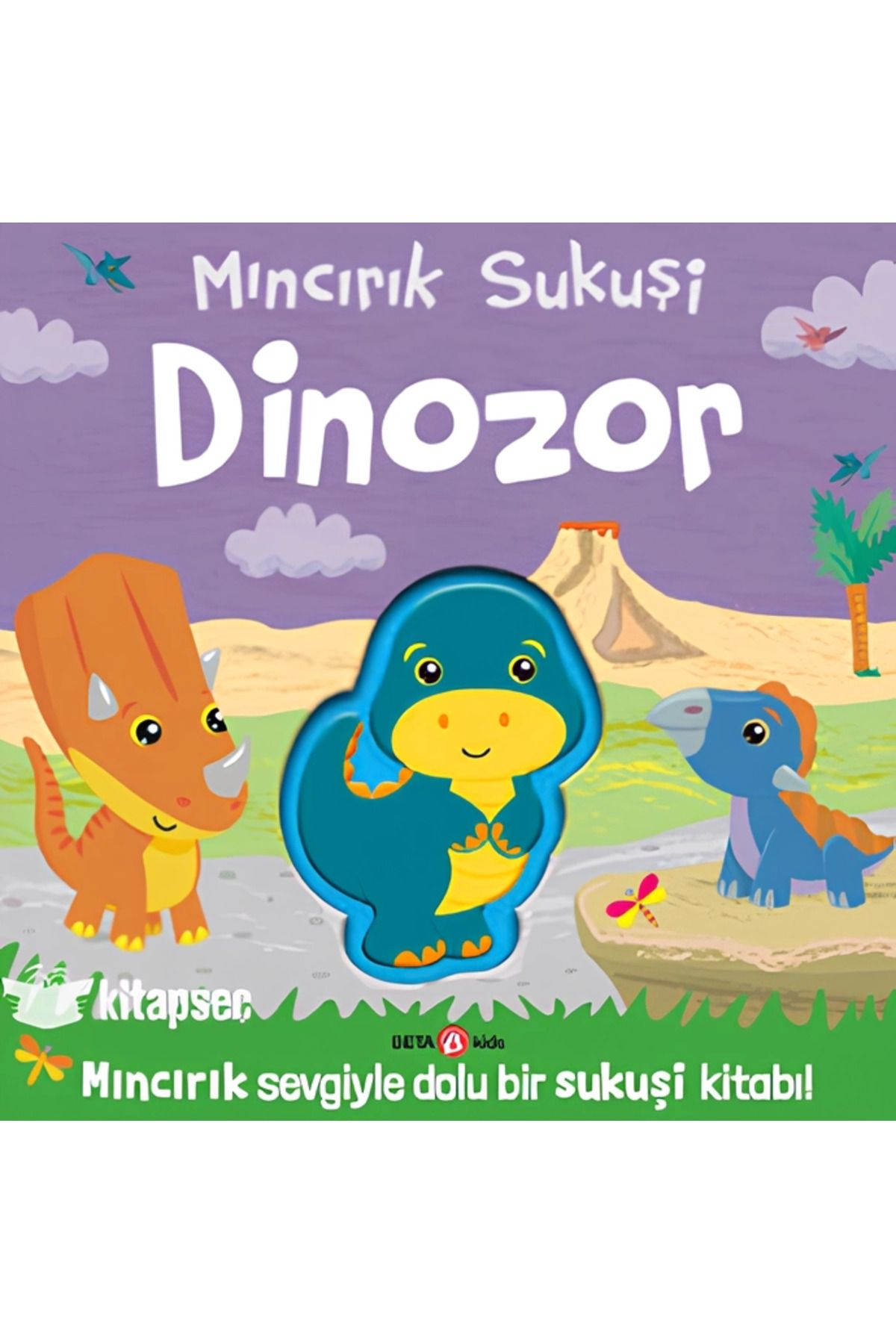 SLNN Mıncırık Sukuşi Dinozor