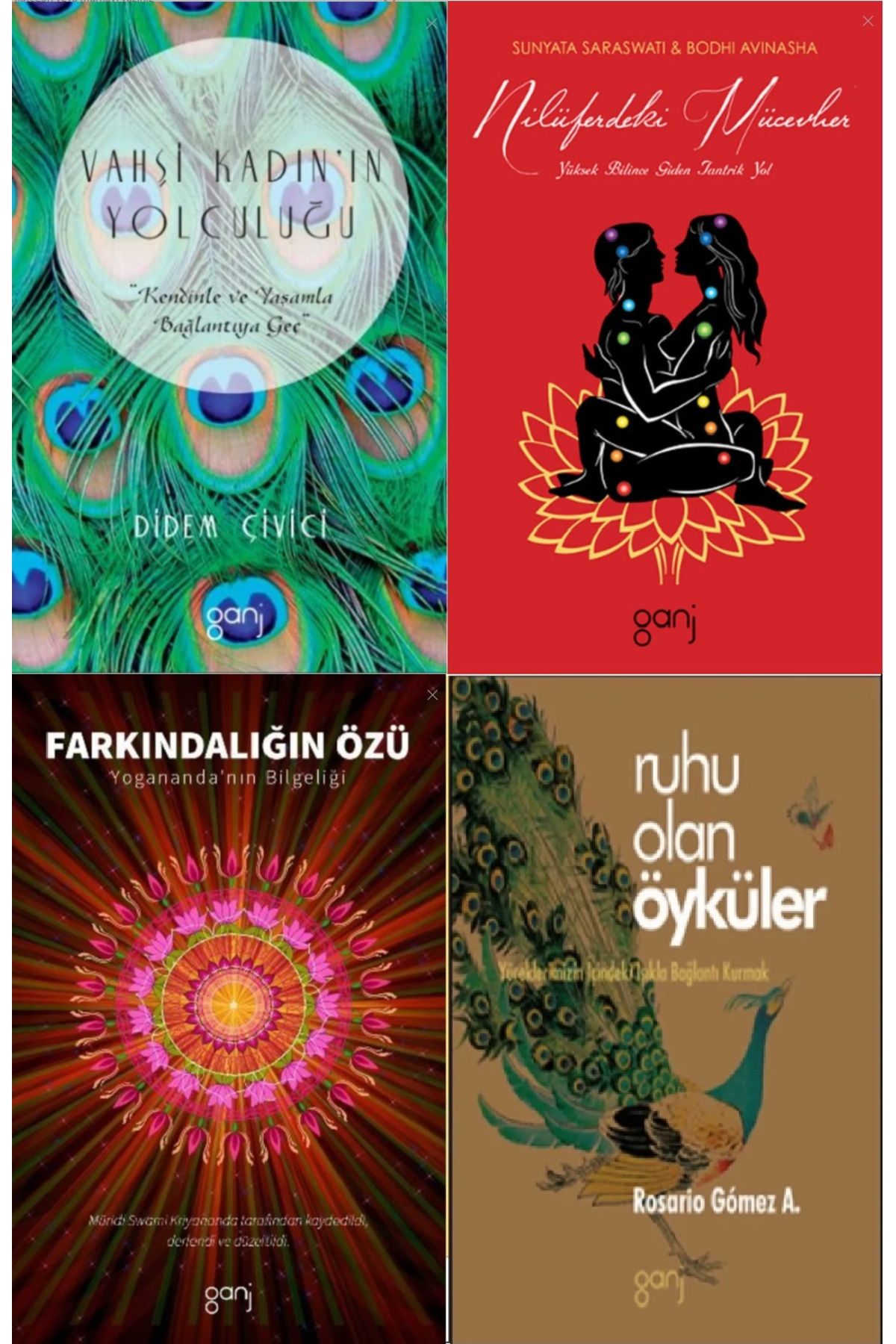 Ganj Kitap Ganj Yayınları 4 Kitap Set Vahşi Kadının Yolculuğu + Farkındalığın Özü + 2 Kitap