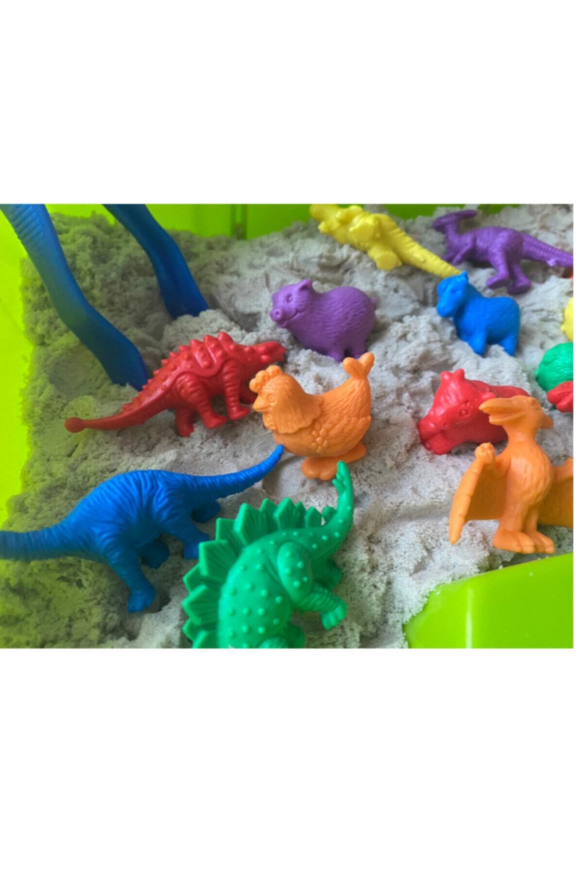 EDX Büyük Aktivite Kutusu Montessori Materyali Dinozorlar Ve Çiftlik Hayvanları fotoğrafı 3 (önizleme)