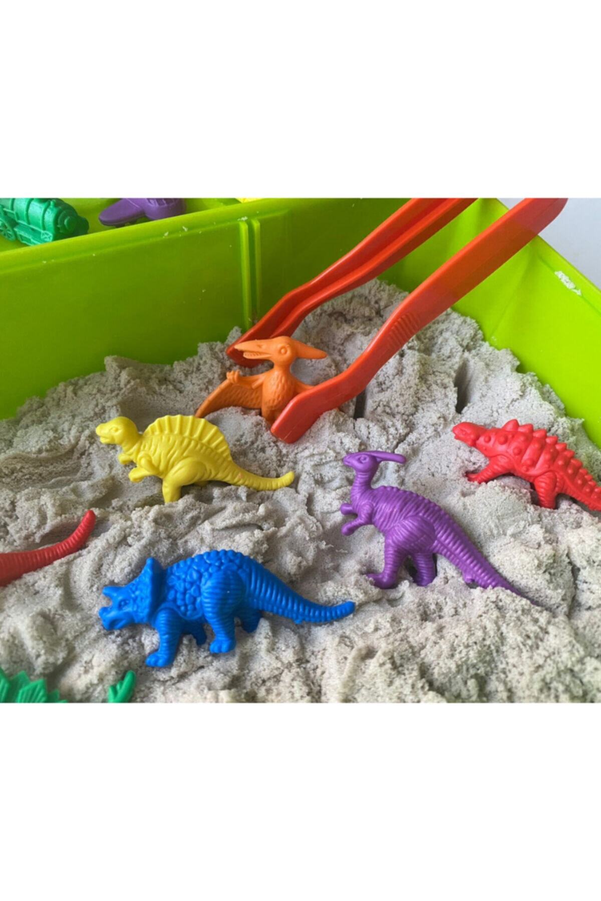 EDX Büyük Aktivite Kutusu Montessori Materyali Dinozorlar Ve Çiftlik Hayvanları fotoğrafı 6 (önizleme)