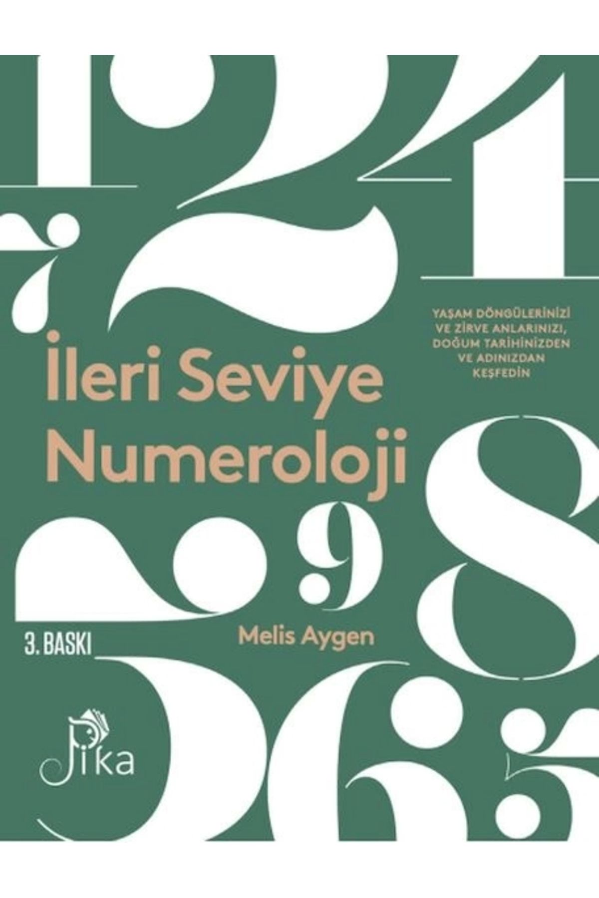 Pika Yayınevi İleri Seviye Numeroloji