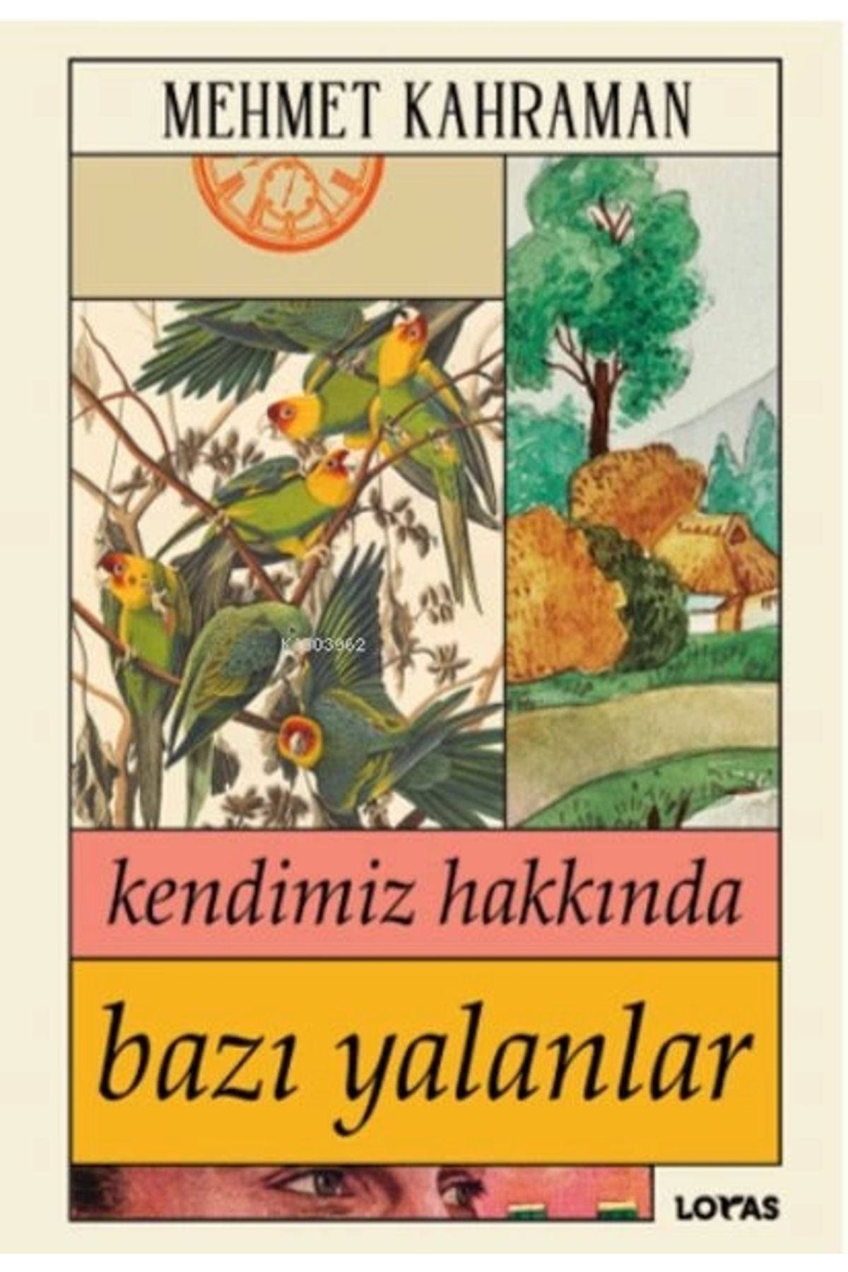 Dergah Yayınları Kendimiz Hakkında Bazı Yalanlar