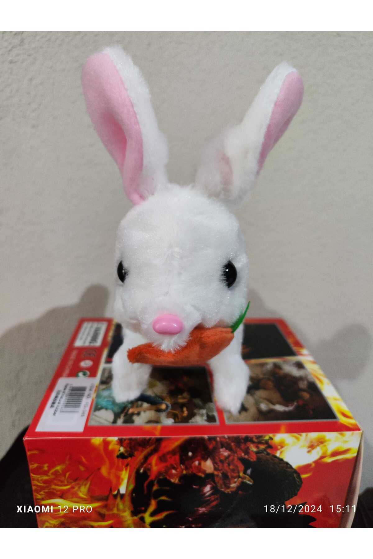 Selay Beyaz Elektronik Sesli Zıplayan Hareketli Havuçlu Peluş Tavşan 18x17 Cm kaliteli ürün fotoğrafı 7 (önizleme)