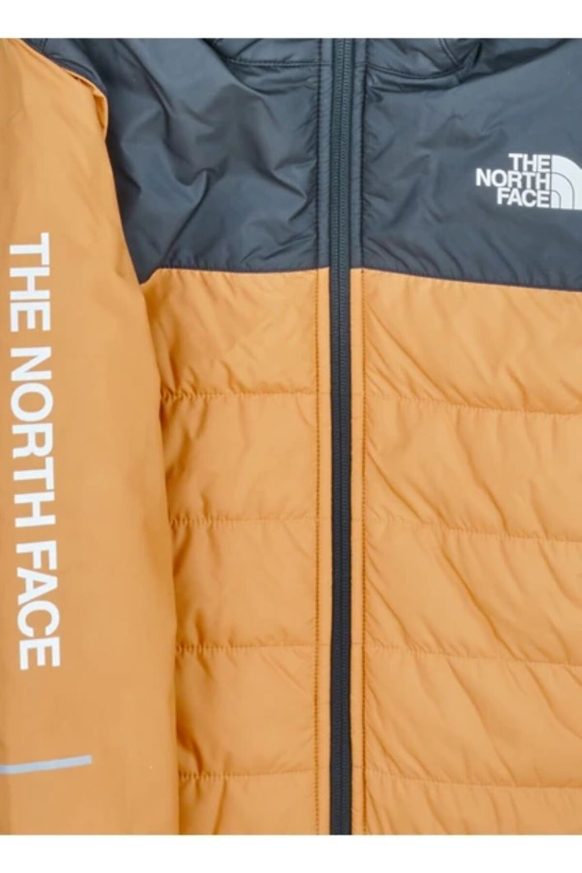 THE NORTH FACE-B Kneckede Synthetic Coat with Scroll 3