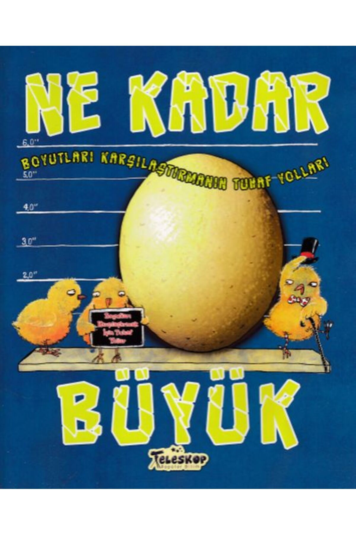 Destek Yayınları Boyutları Karşılaştırmanın Tuhaf Yolları - Ne Kadar Büyük