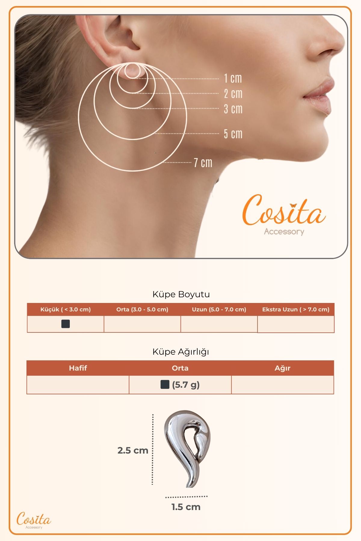 COSİTA-Swan Figure Silver Modern Casual Dress Earrings 5