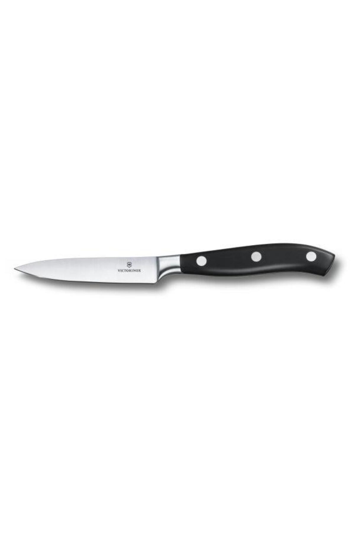 Victorinox VT 7.7203.10G Dövme Çelik Soyma Bıçağı,10Cm,Syh