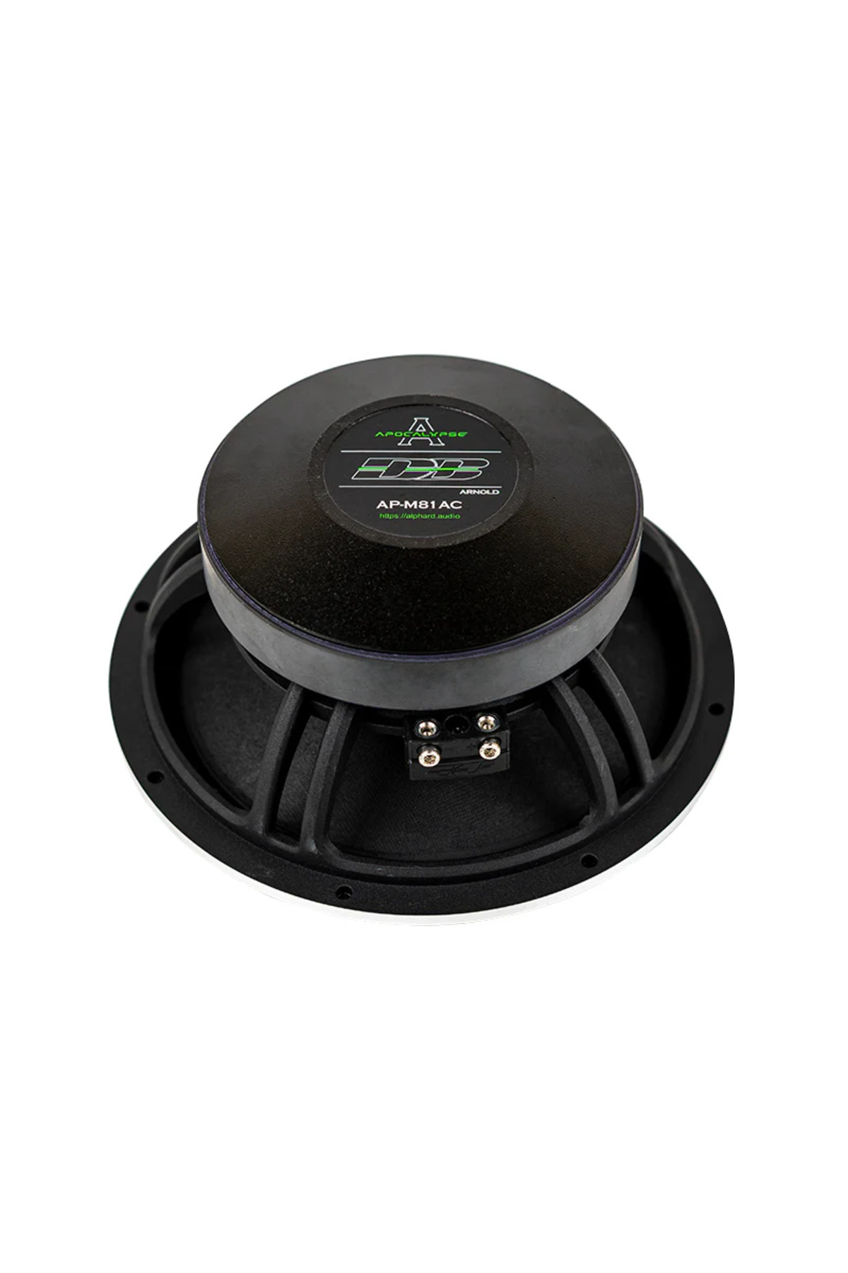 APOCALYPSE Arnold M81AC 600 WATT 300 RMS Midrange ÜRÜN - Fiyatı