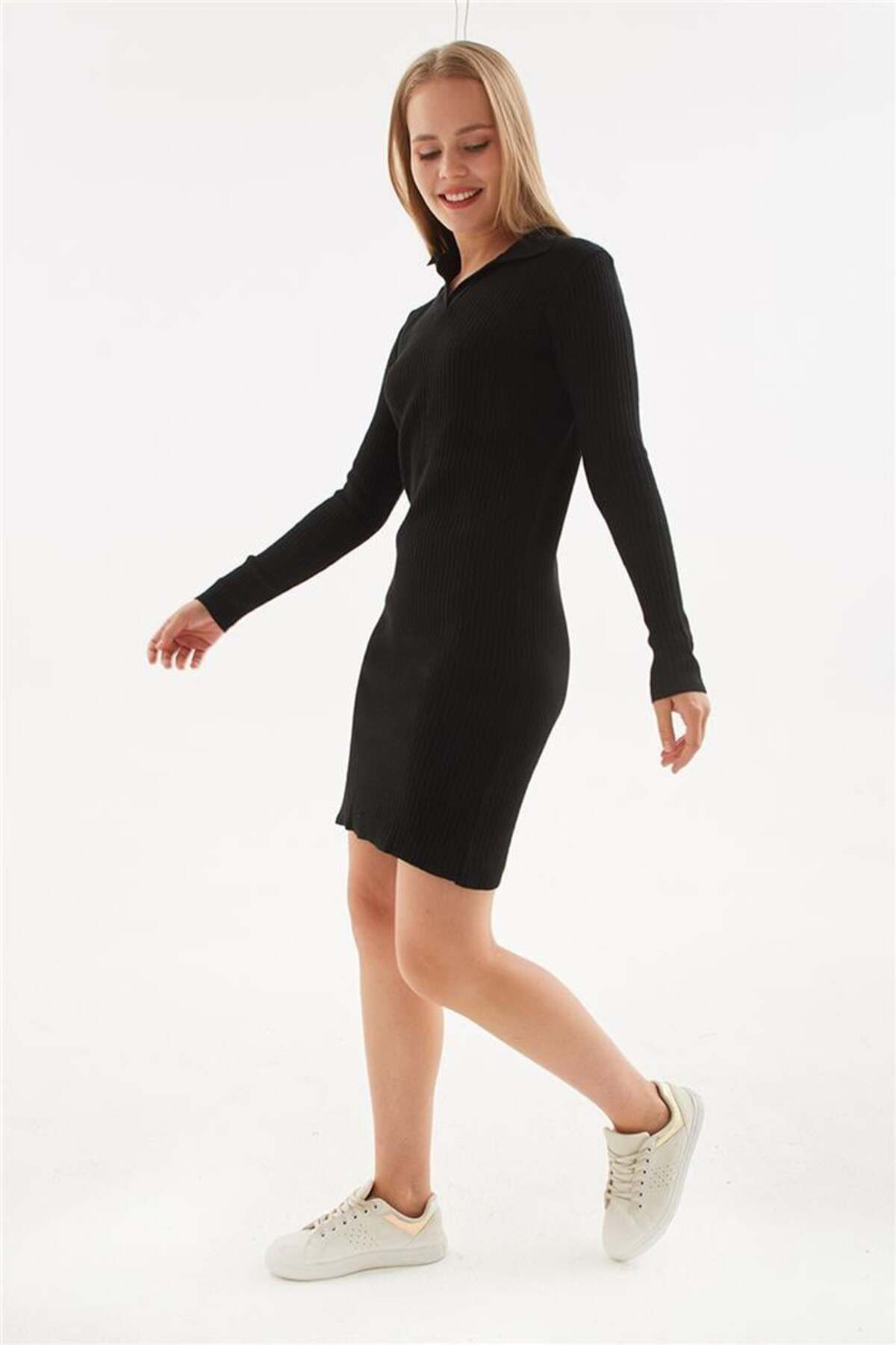 Fashion Friends-Black Polo Neck Dress 2