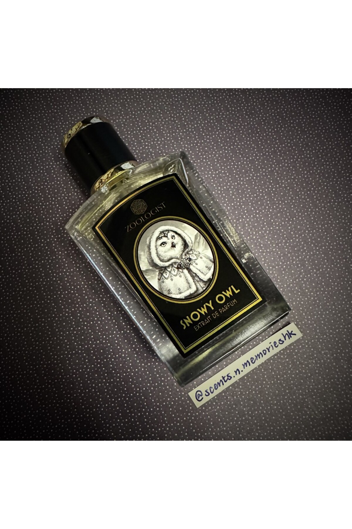 Genel Markalar Zoologist Snowy Owl Extrait De Parfum 60ml - Fiyatı 