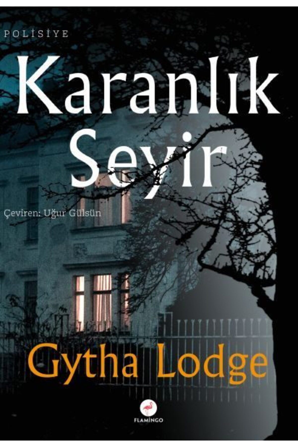 Flamingo Yayınları Karanlık Seyir