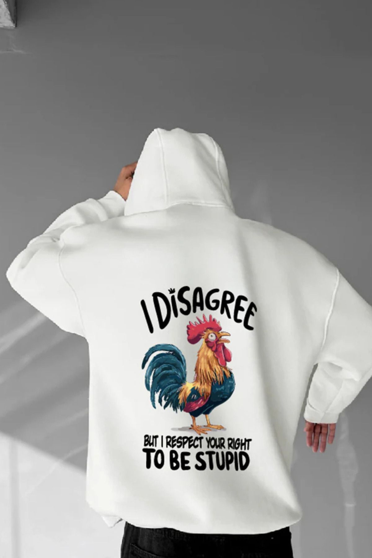 Wish BF DisagreeBaskılı Kapüşonlu Sweatshirt Hoodie